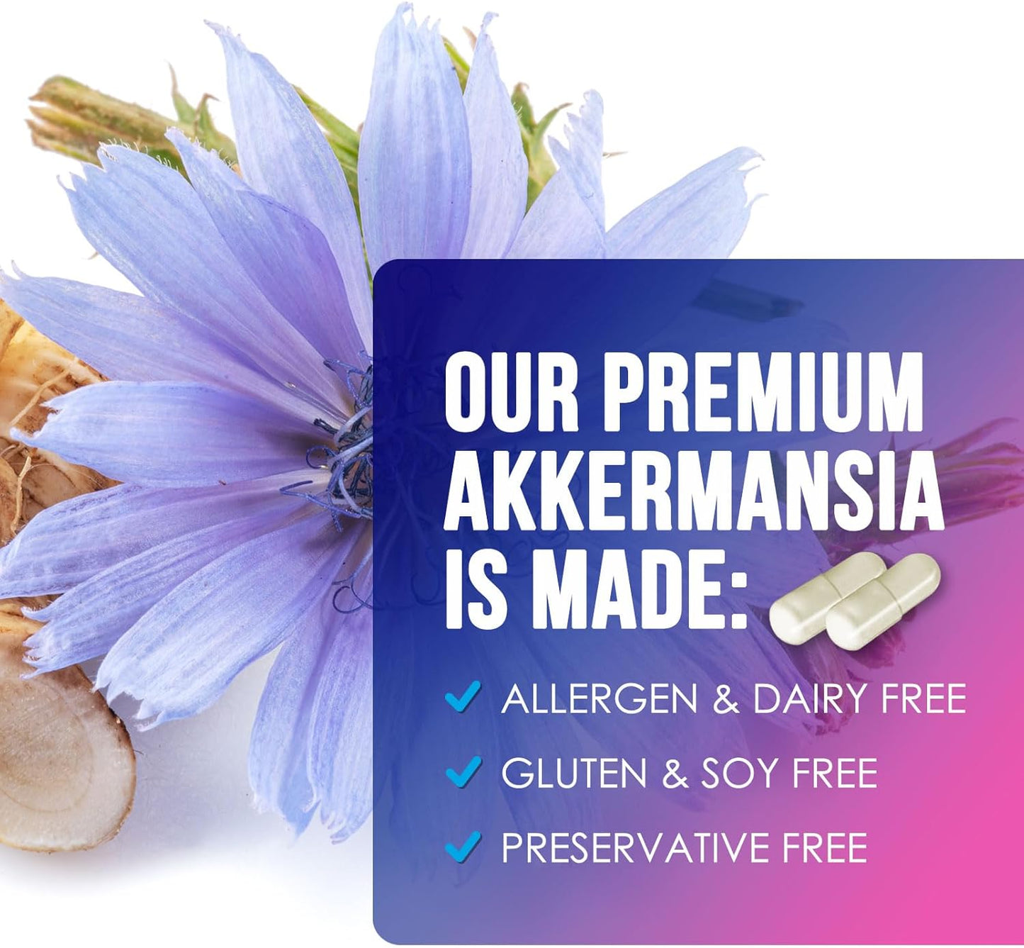 akkermansia-muciniphila-glp-1-probiotic-with-prebiotic-fiber-for-gut-health-immune-support---60-capsules-third-party-tested-7