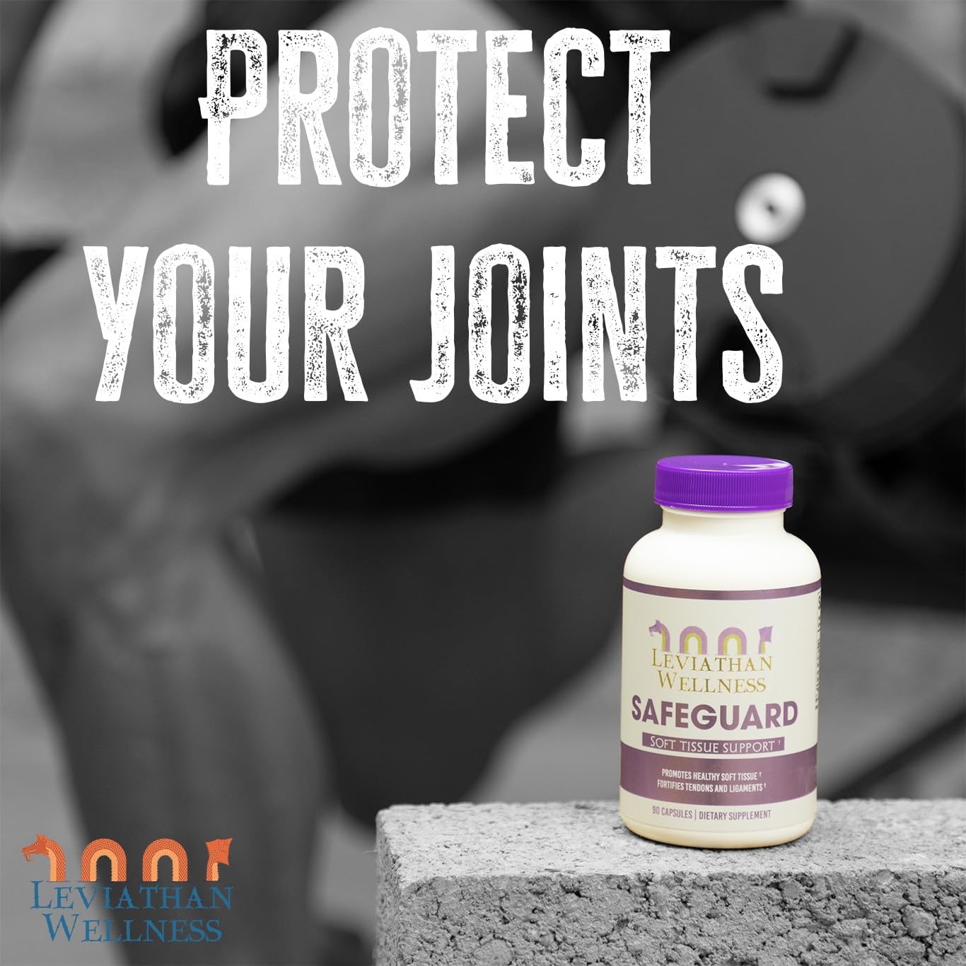 leviathan-wellness-safeguard---support-for-joints-and-soft-tissues---natural-supplement-for-overall-health-2