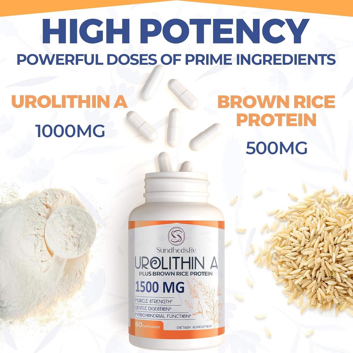 1500MG Sundhedsliv Urolithin A Supplement with Brown Rice Protein - Boost Exercise Performance & Cellular Health - Gluten Free - 60 Capsules - Espot.com.au