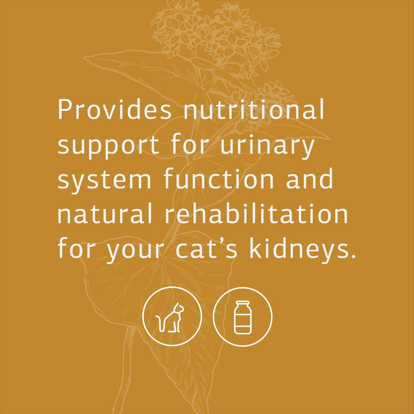 feline-renal-support-supplement-for-cat-kidney-urinary-health---90-whole-food-tablets-by-standard-process-inc-3