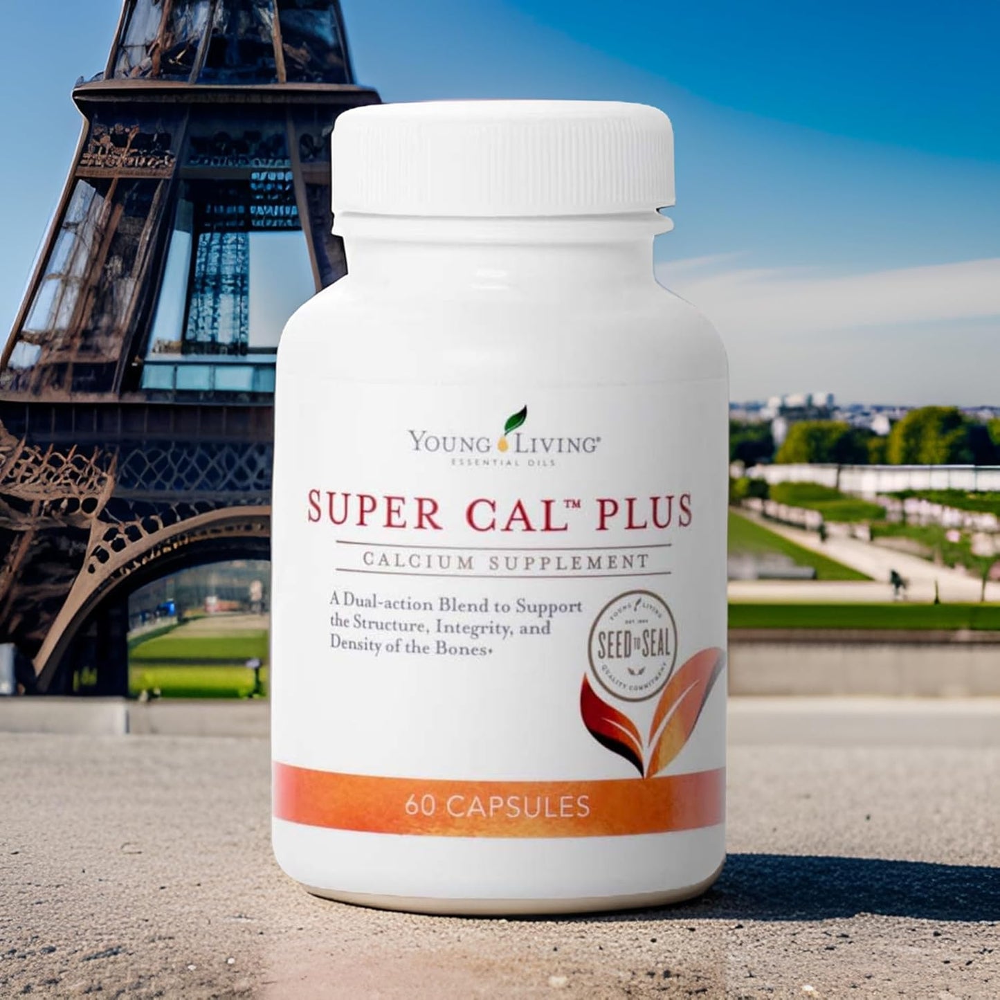 young-living-super-cal-plus-capsules---calcium-mineral-bone-health-supplement-with-magnesium-vitamins-d-k-essential-nutrients-for-strong-bones-5