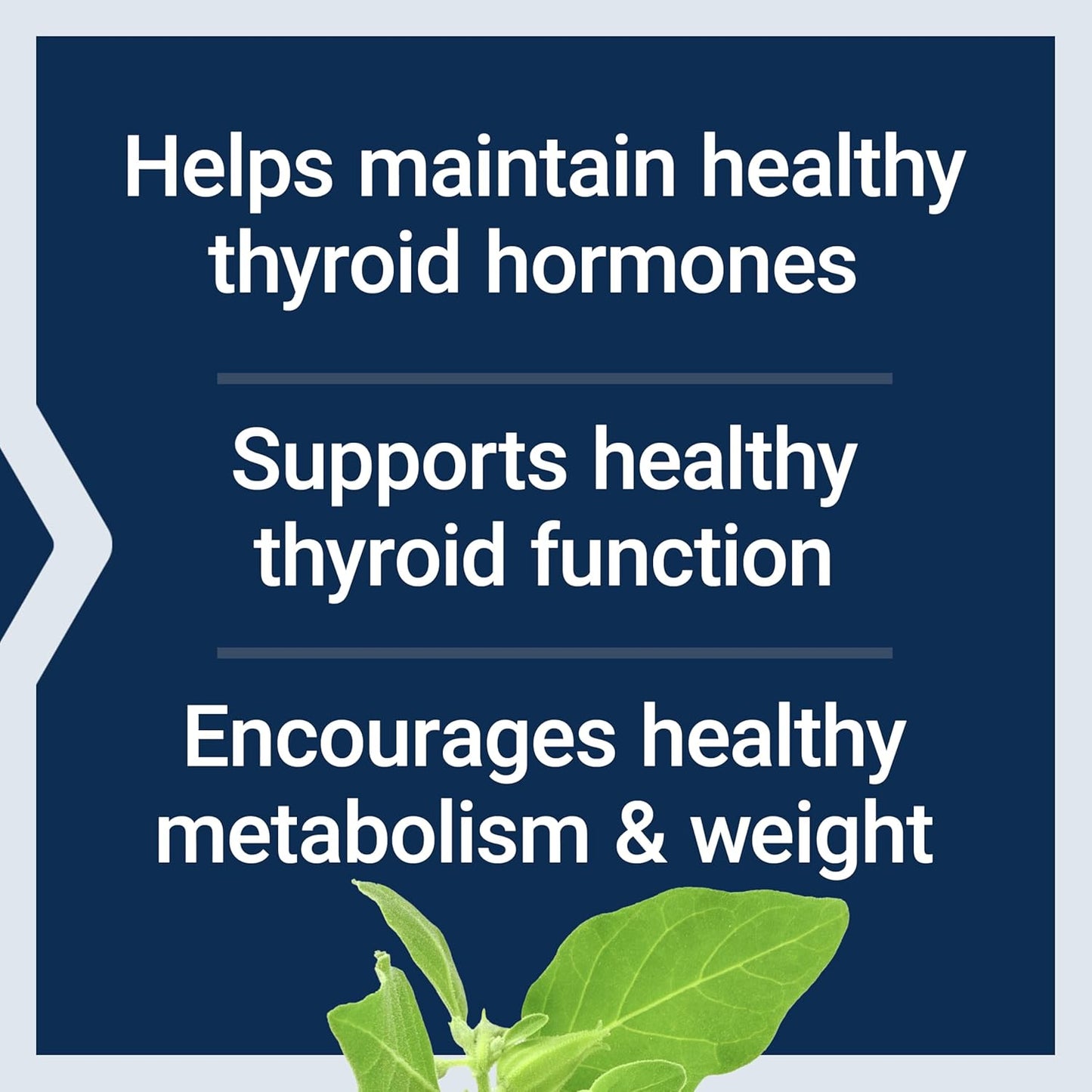 thyroid-support-complex---vitamins-a-b-iodine-magnesium-l-tyrosine-ashwagandha-ginseng-supplement-for-energy---non-gmo-gluten-free---60-capsules-by-life-extension-4