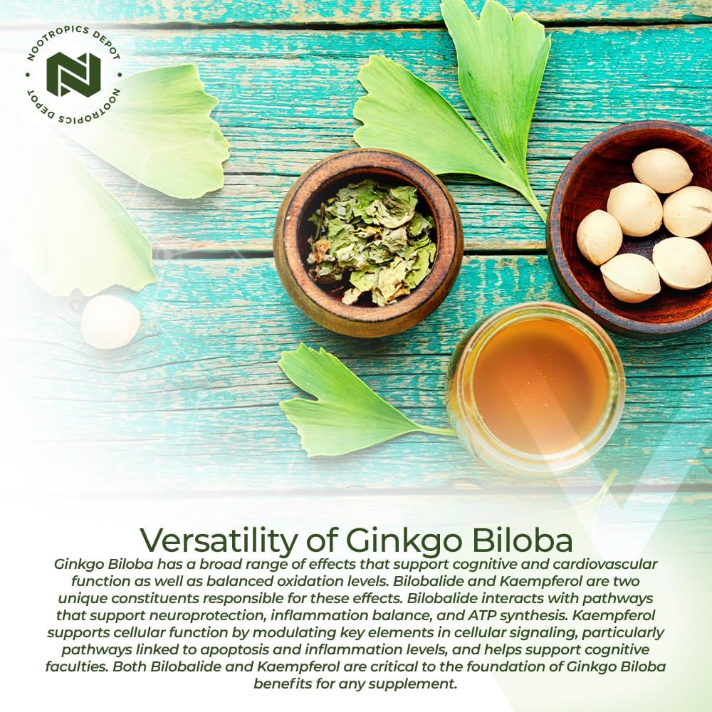 Ginkgo Biloba Extract Tablets 120mg | 90 Count | 10% Kaempferol Glycoside + 2% Bilobalide | Cognitive & Cardiovascular Support - Espot.com.au