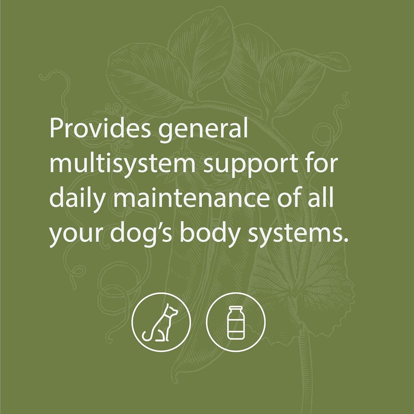 standard-process-canine-whole-body-support-powder---100g-multisystem-supplement-for-daily-health-maintenance-3