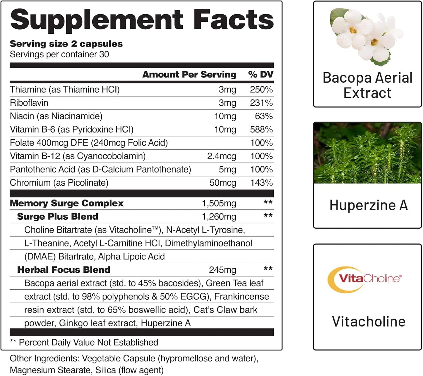 snap-supplements-memory-focus-clarity-nootropic-supplement-with-bacopa-extract-ginkgo-biloba---60-capsules-6
