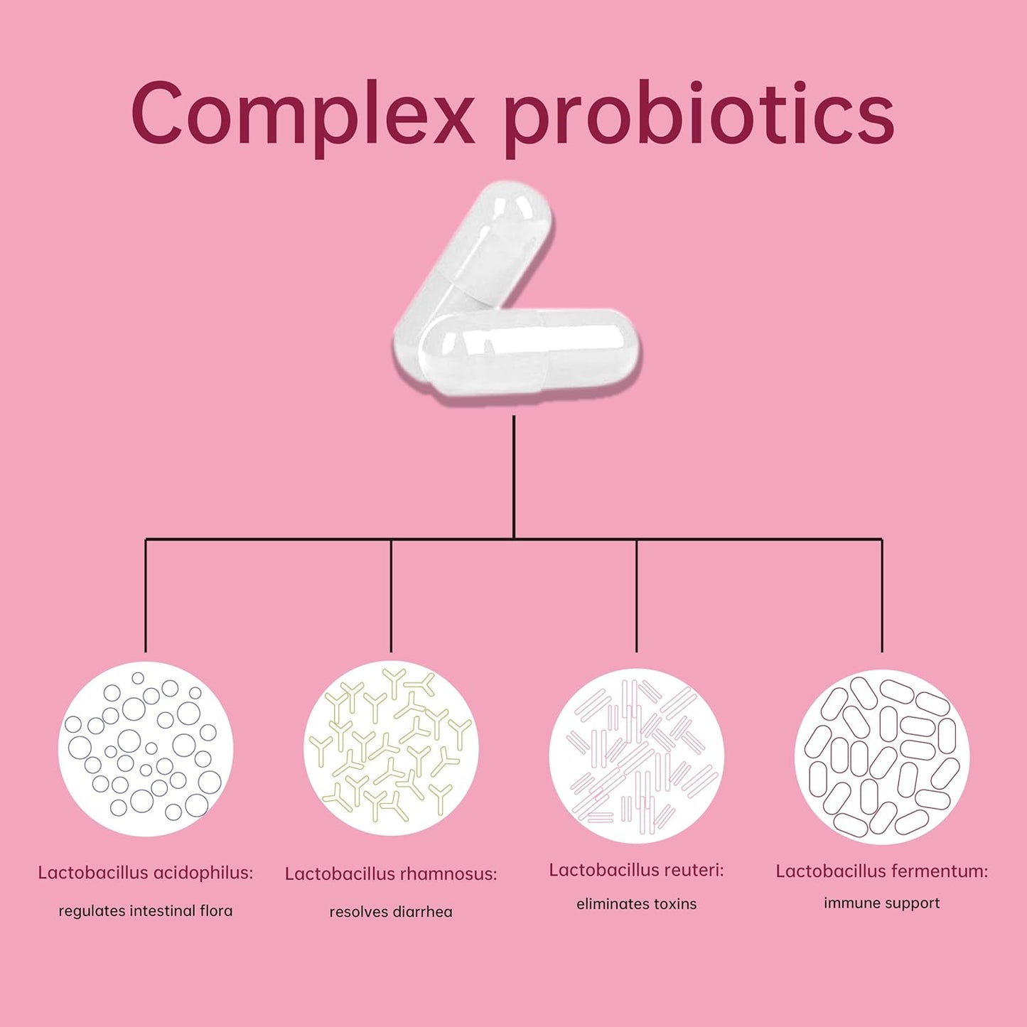 womens-probiotic-supplement-with-prebiotics-lactobacillus-blend---supports-vaginal-ph-balance-healthy-flora-odor-control---60-capsules-5