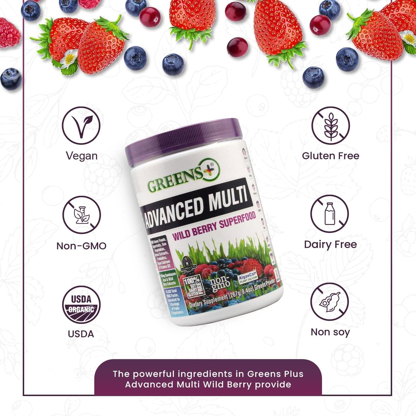 organic-superfood-wild-berry-dark-chocolate-protein-bars---vegan-non-gmo-gluten-free-whey-protein---set-of-2-2