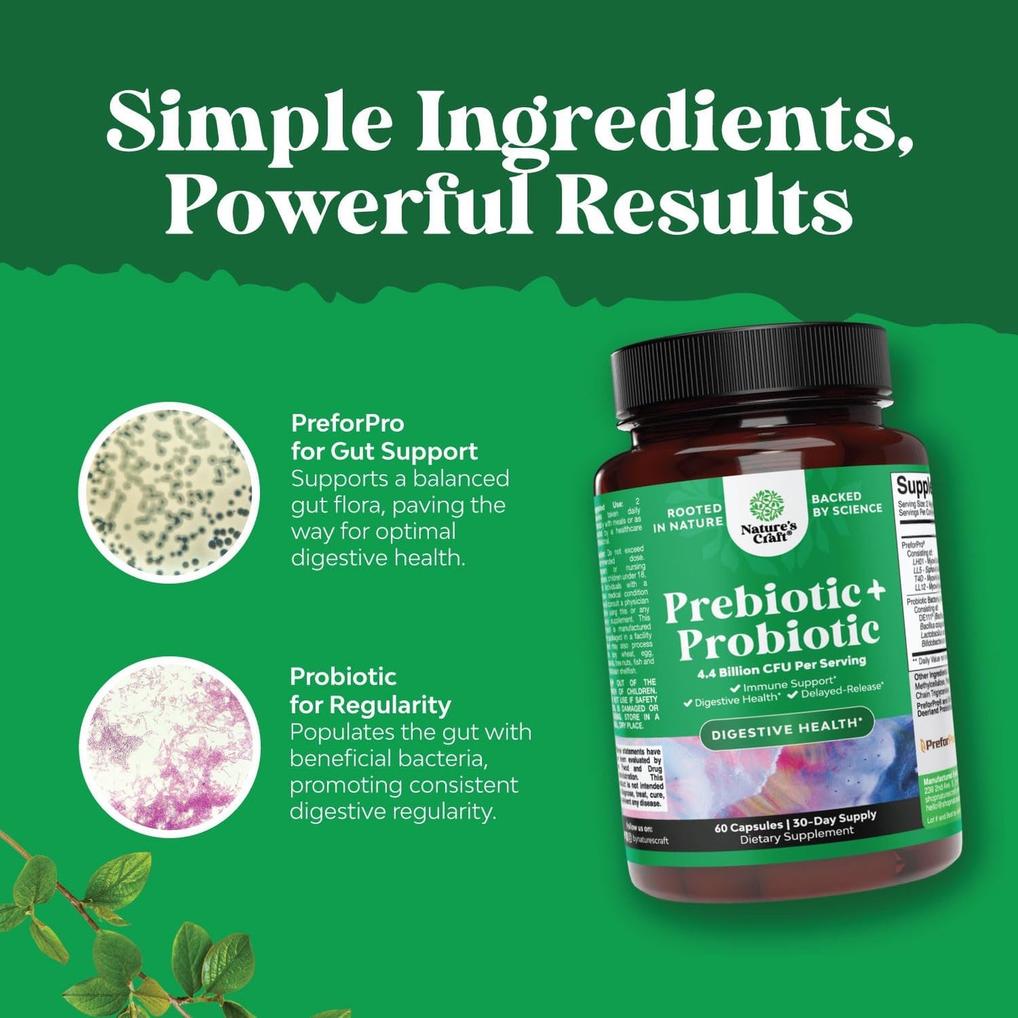 super-potent-probiotic-and-prebiotic-supplement-for-gut-health---men-and-womens-digestive-support-and-immunity-boost---natures-craft-4
