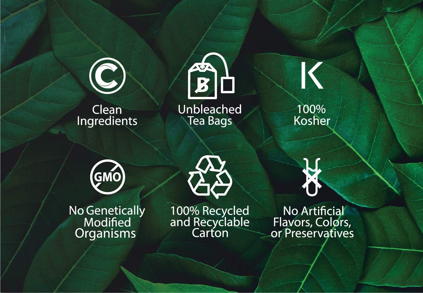 organic-horsetail-herbal-tea-for-cognitive-balance-overall-health---antioxidants-b-vitamins-silica---caffeine-free---100-kosher-non-gmo---18-tea-bags-5