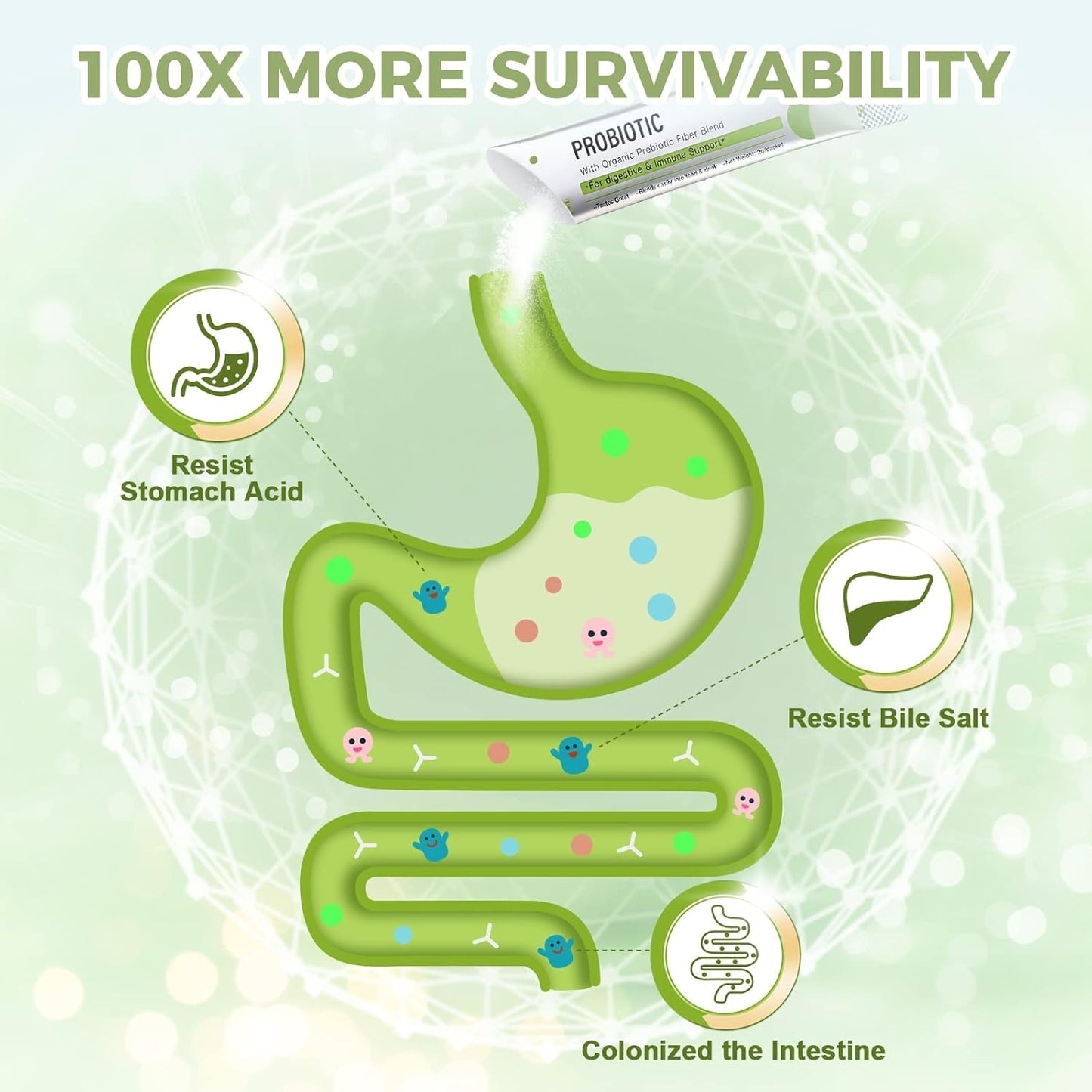probiotic-powder-60-billion-cfus-13-strains---prebiotics-and-probiotics-for-digestive-health---non-gmo---gluten-free---30-packets---nature-target-women-men-kids-5