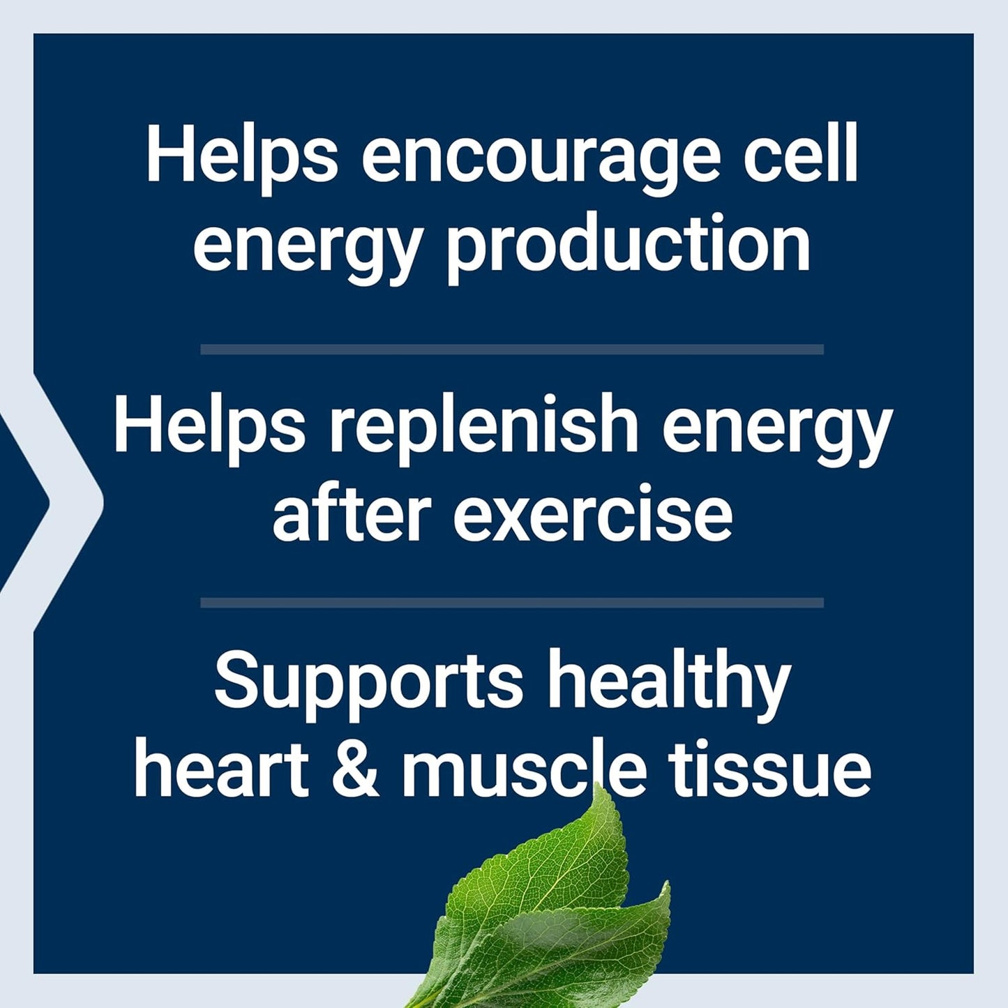 vegan-d-ribose-tablets-with-calcium-for-energy-support-and-atp-production---100-vegetarian-tablets-gluten-free-and-non-gmo-4