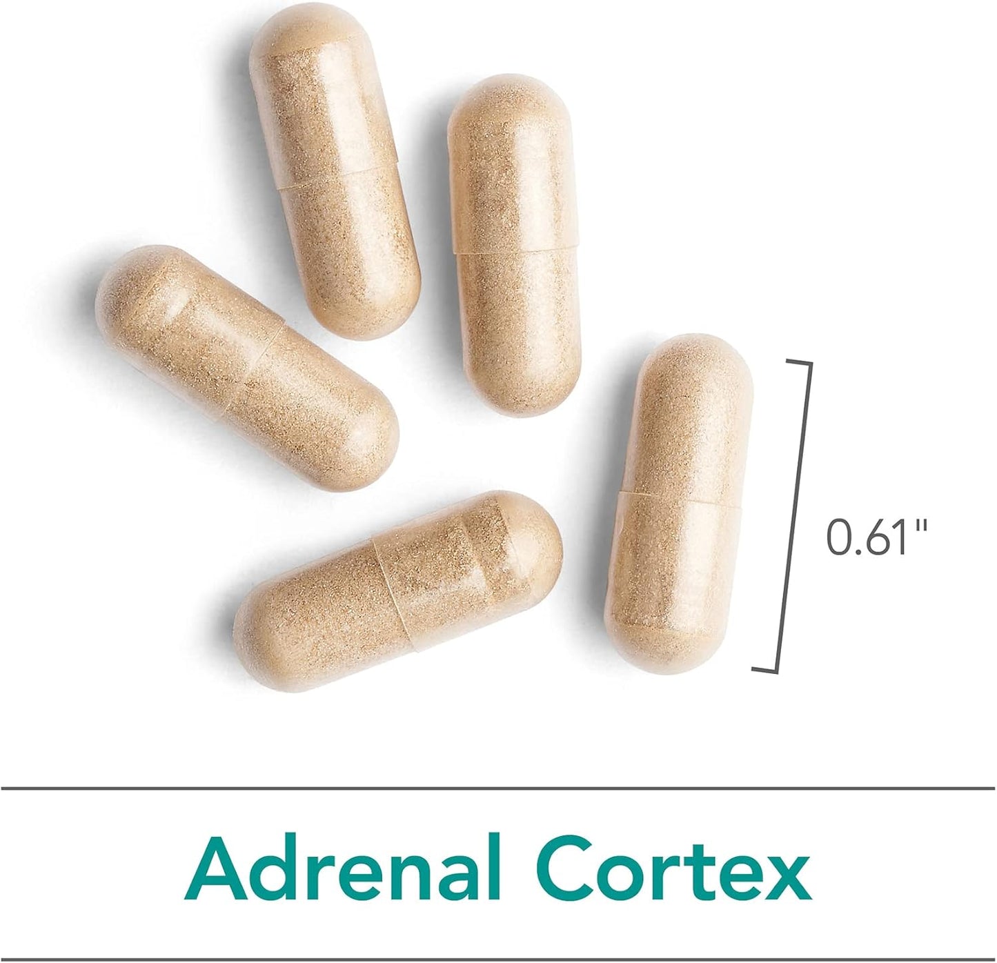 adrenal-support-supplement-for-immune-endocrine-health---men-women-100mg-adrenal-extract-bovine-lyophilized---100-count-5