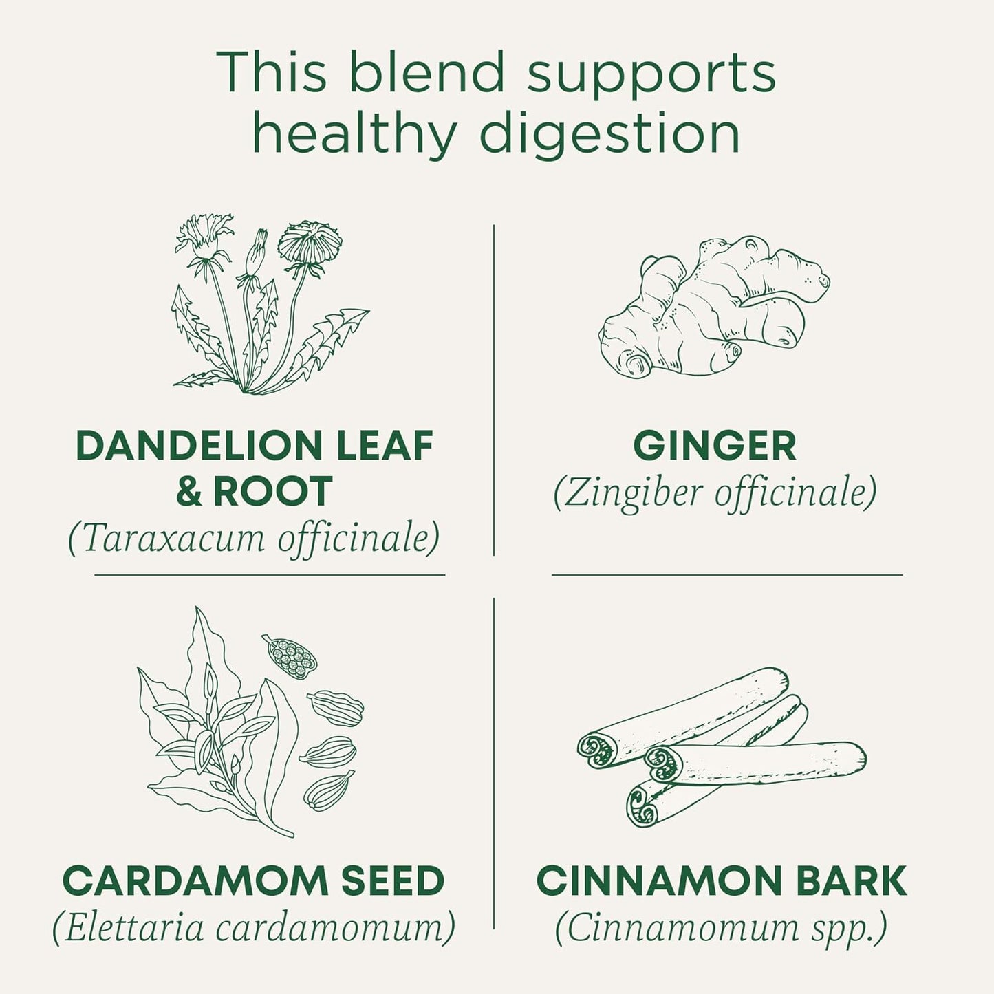 organic-dandelion-chai-probiotic-tea-by-traditional-medicinals---96-tea-bags-6-pack-for-healthy-digestion-support-4