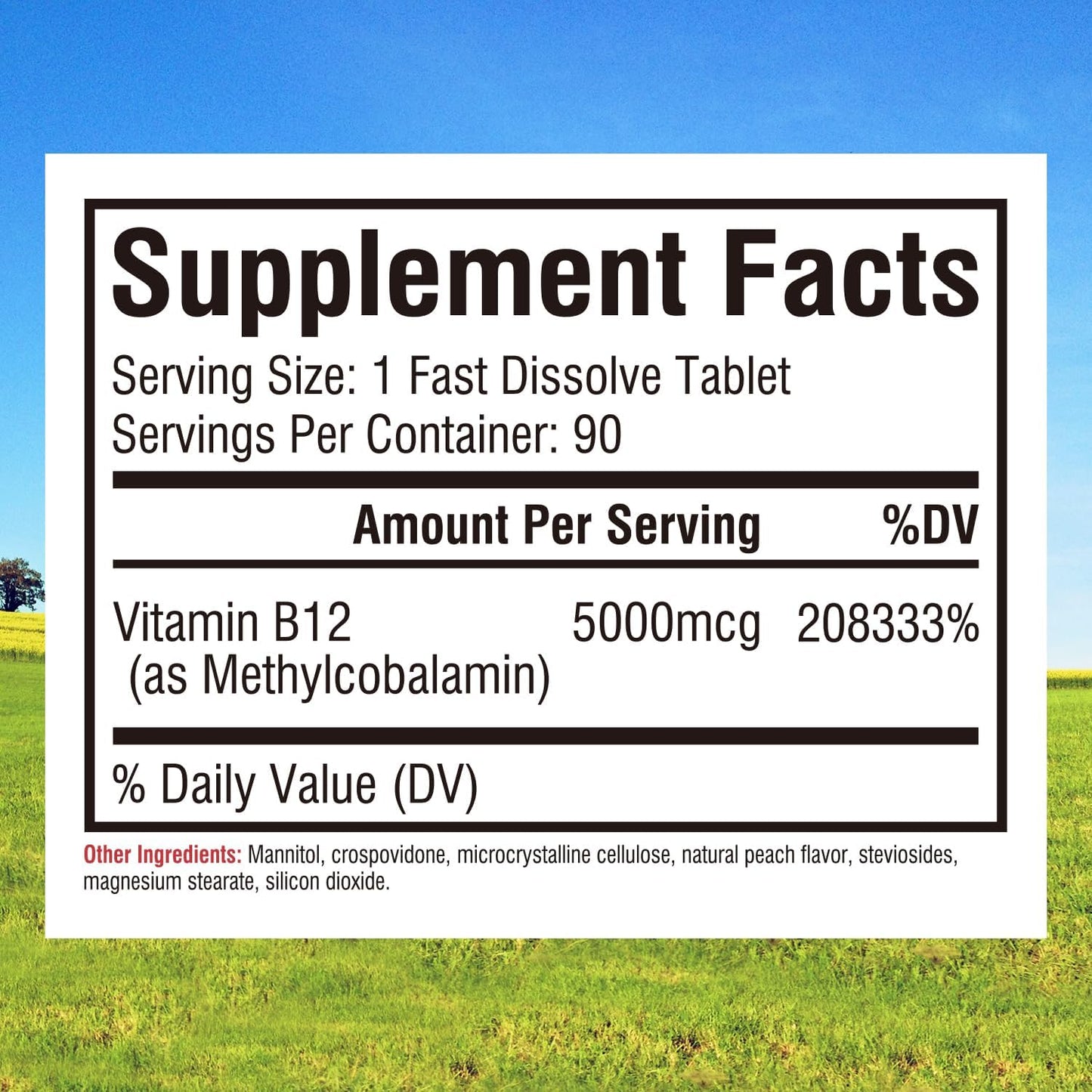 vegan-sublingual-vitamin-b12-5000mcg-tablets-peach-flavor-supports-energy-nervous-system-fast-dissolve-90-count-2