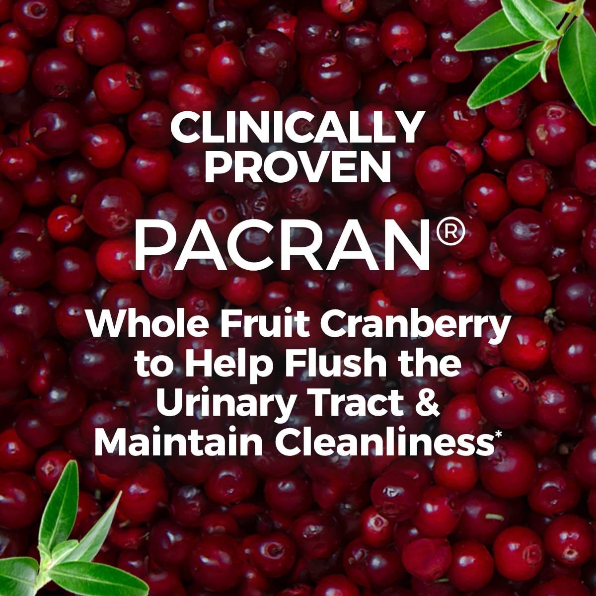 sugar-free-cranberry-supplement-softgels-for-urinary-tract-health---non-gmo-100-count---made-with-concentrated-whole-fruit-cranberry-powder-4
