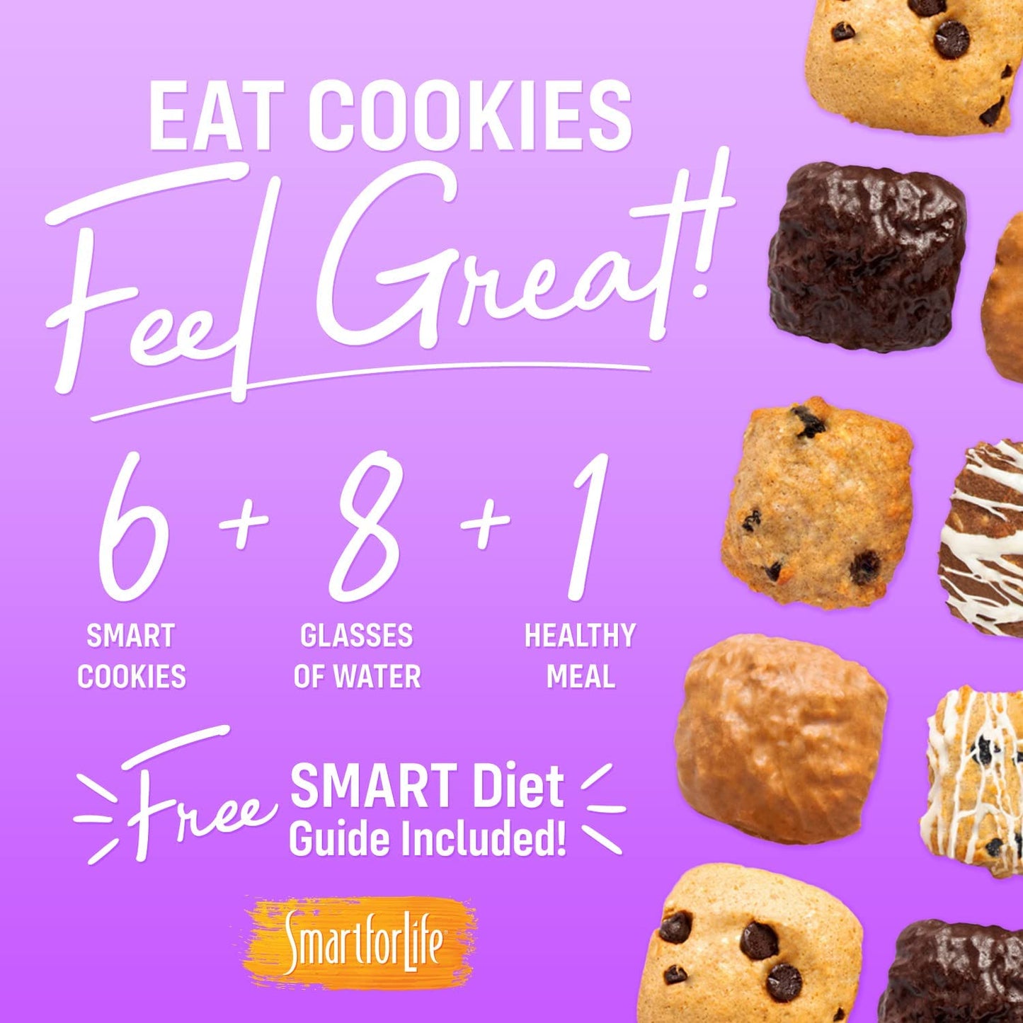 high-protein-oatmeal-raisin-cookies---meal-replacement-diet-snack---2-weeks-supply---low-sugar-low-calorie-high-fiber-protein-snack-3
