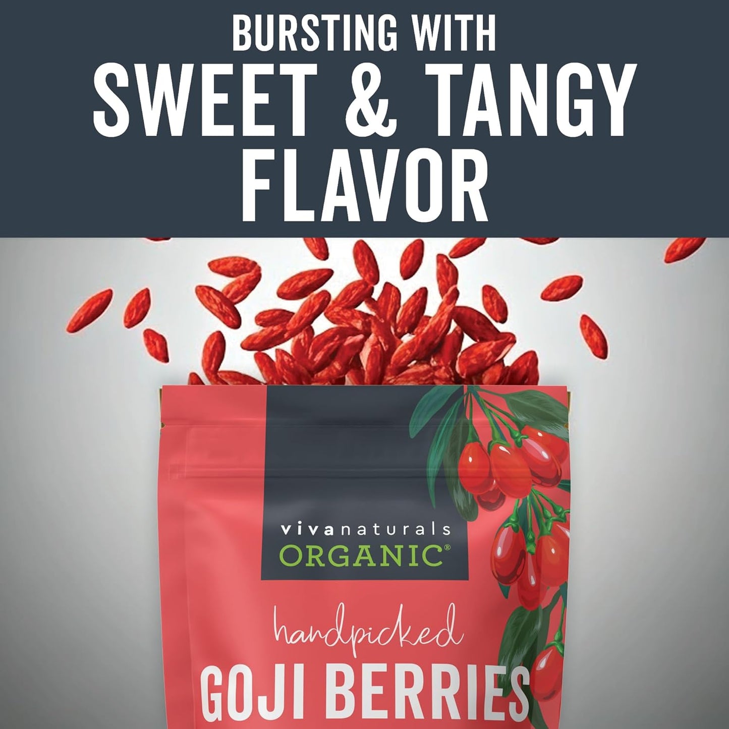 organic-dried-goji-berries---1-lb-non-gmo-vegan-berries-for-powder-tea-smoothies-baking-snacks---454-g-pack-2