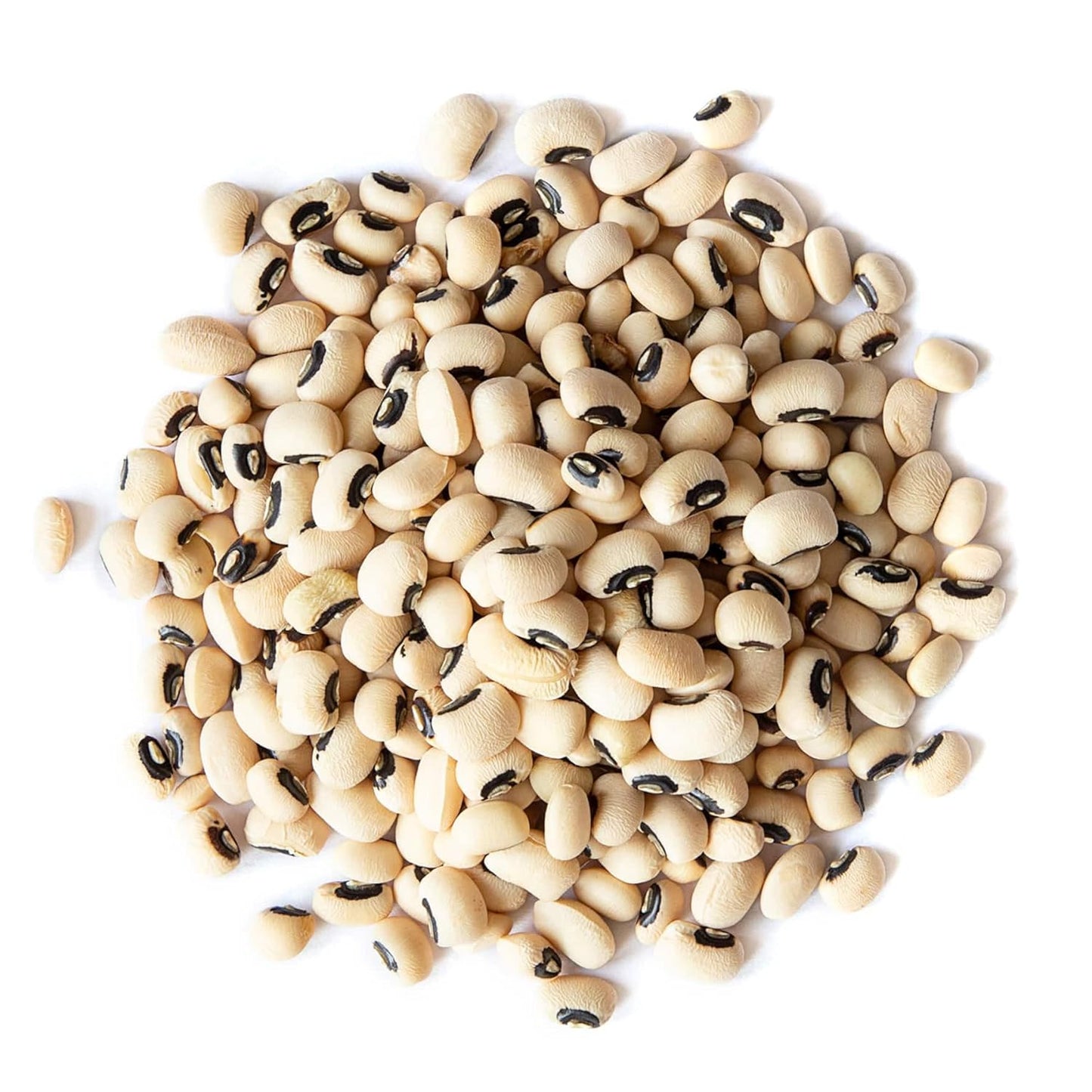 organic-black-eyed-peas---non-gmo-raw-dried-cow-peas-1lb---kosher-bulk-beans-from-usa-3