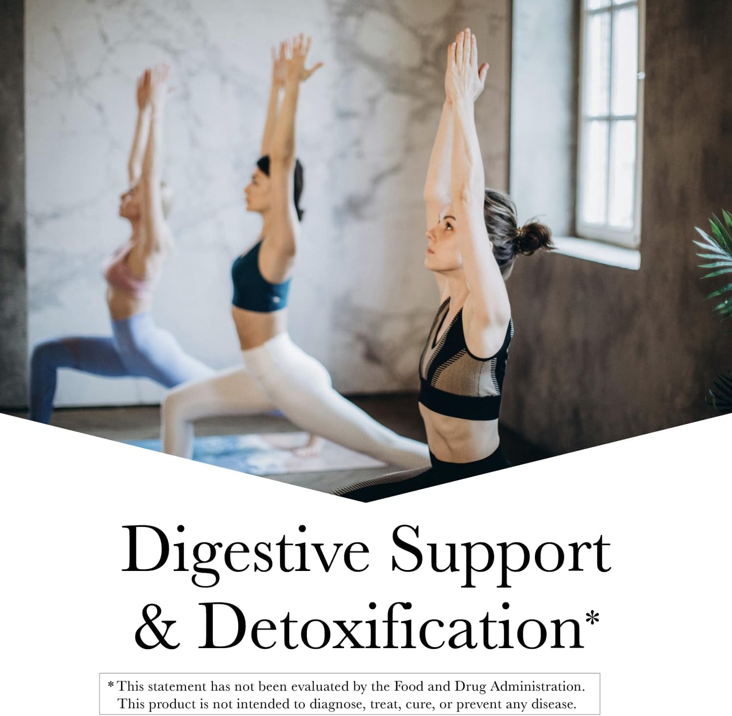 bundle-of-kroeger-herb-products-wormwood-and-chem-x---natural-remedies-for-digestive-health-and-detoxification-6