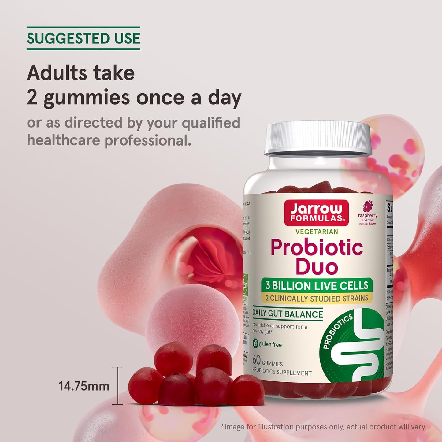 jarrow-formulas-probiotic-duo-gummies---raspberry-flavor-60-count---3-billion-live-cells-for-immune-digestive-health---30-day-supply-7