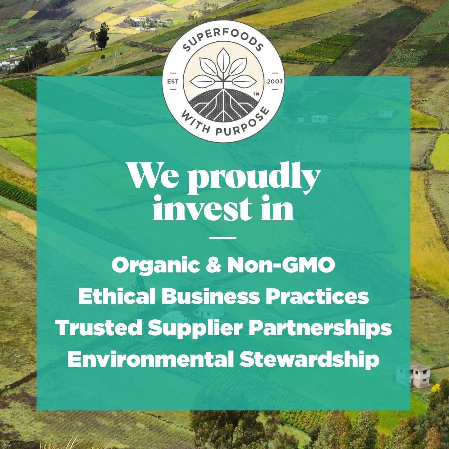 organic-navitas-maca-powder-16-oz-bag---90-servings-non-gmo-gluten-free-low-temp-dried-6