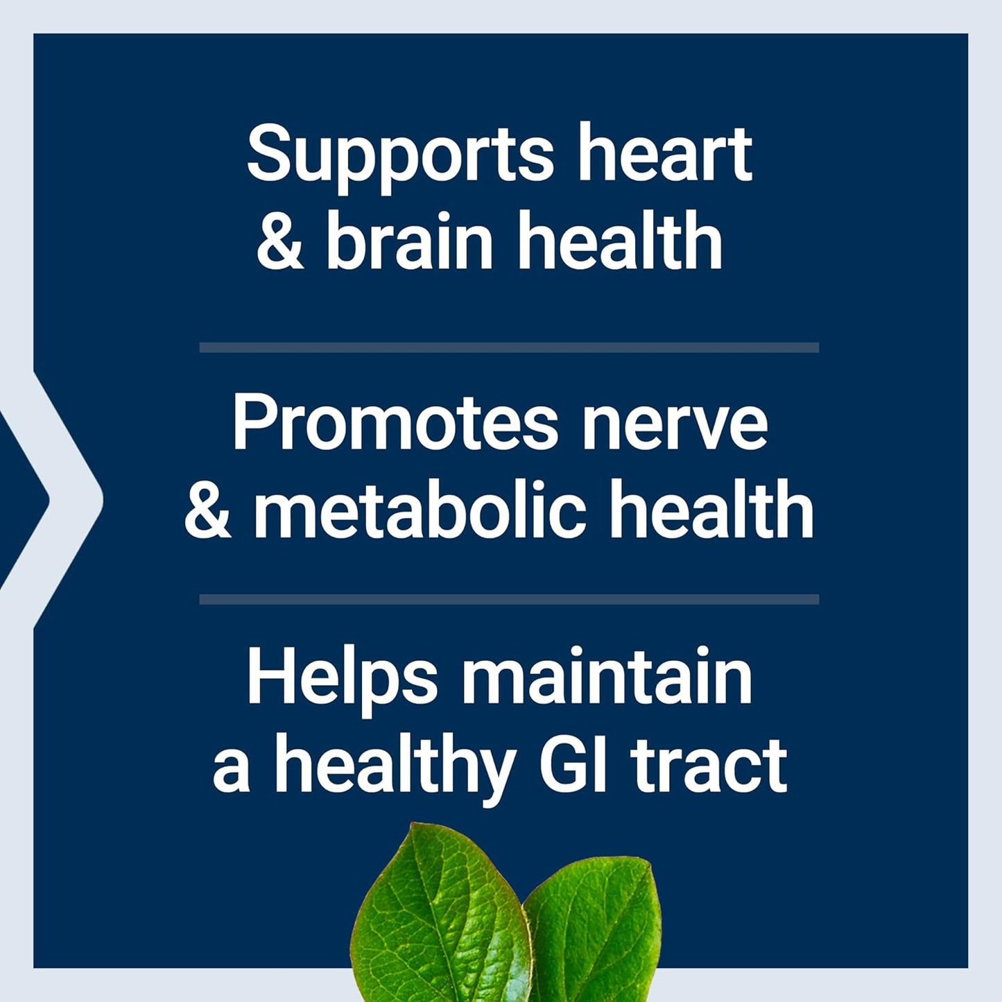 bioactive-folate-vitamin-b12-capsules-for-heart-brain-gi-tract-health---non-gmo-gluten-free-vegetarian---90-count-3