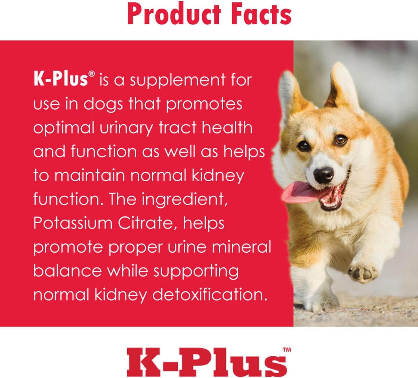 veterinarian-approved-pet-health-supplement-with-potassium-gluconate-cranberry-and-epa---supports-kidney-health-in-dogs-and-cats---3-pack-6