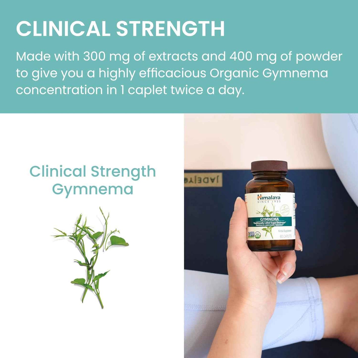 Organic Gymnema Herbal Supplement - USDA Certified, Non-GMO, 700mg, 60 Plant-Based Caplets, 30 Day Supply by Himalaya