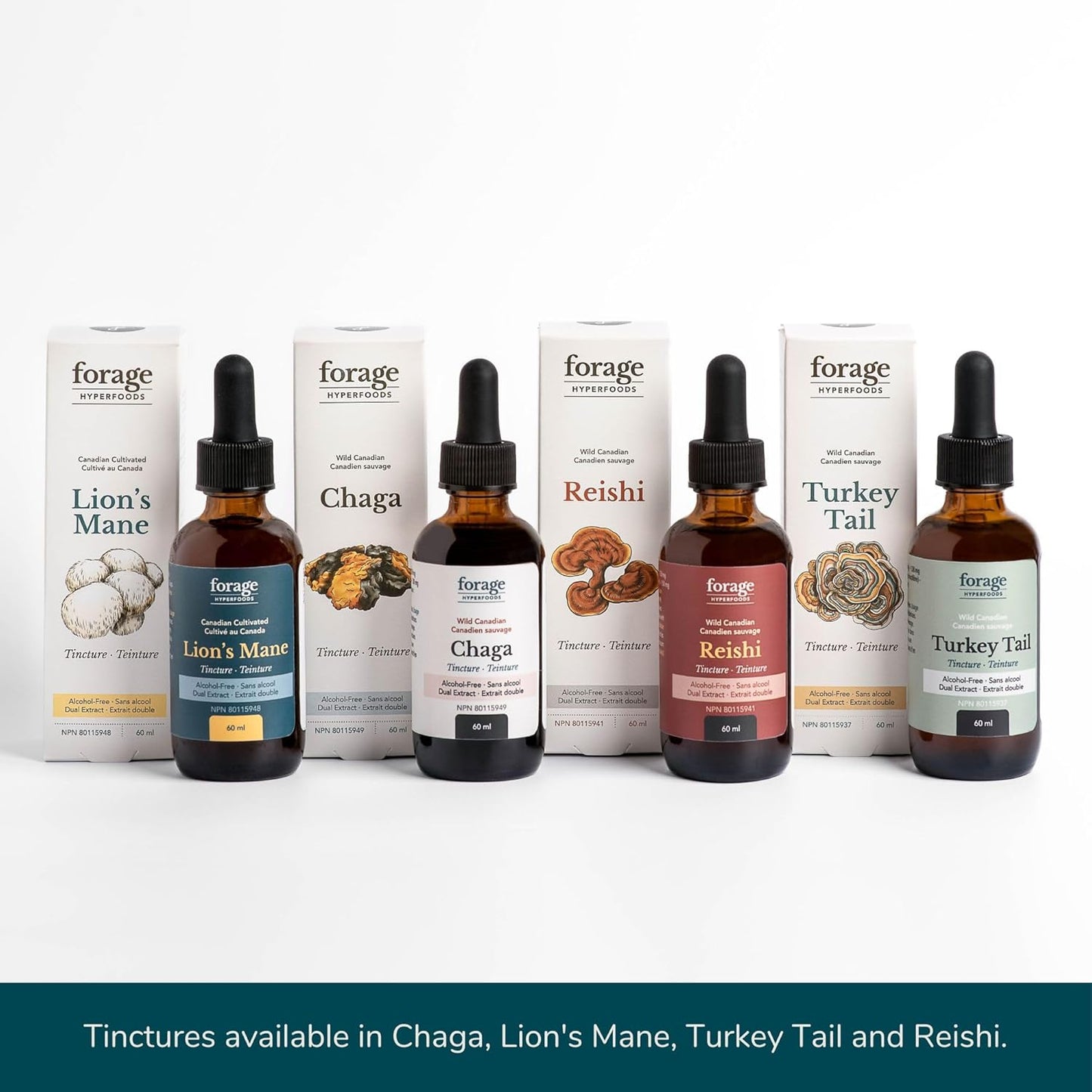 Reishi Mushroom Tincture for Immune Support & Stress Relief - 60 ml Dual Extract, Alcohol-Free Formula by Forage Hyperfoods - Espot.com.au