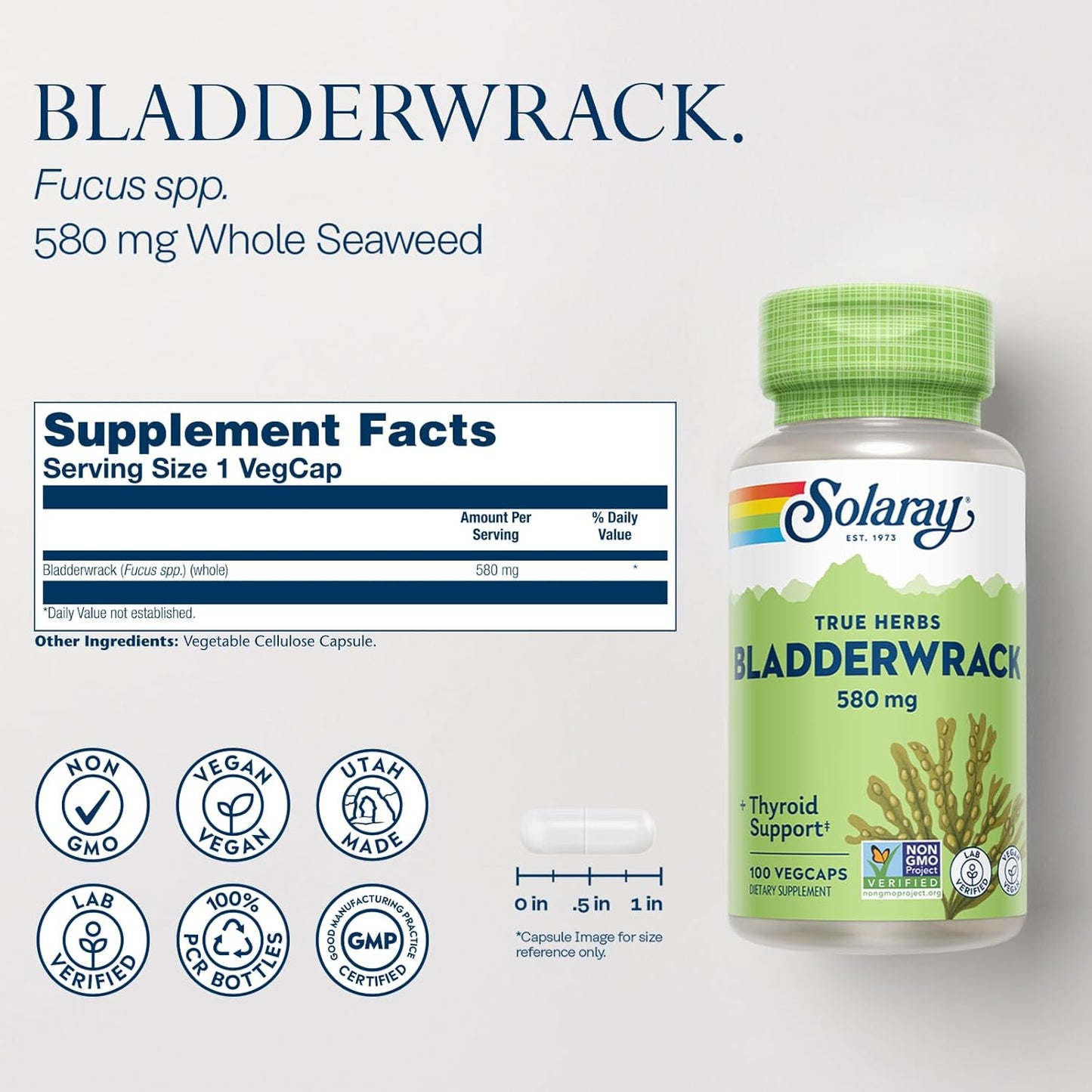 organic-bladderwrack-seaweed-capsules-for-thyroid-health---non-gmo-vegan-friendly---580-mg---100-count-2
