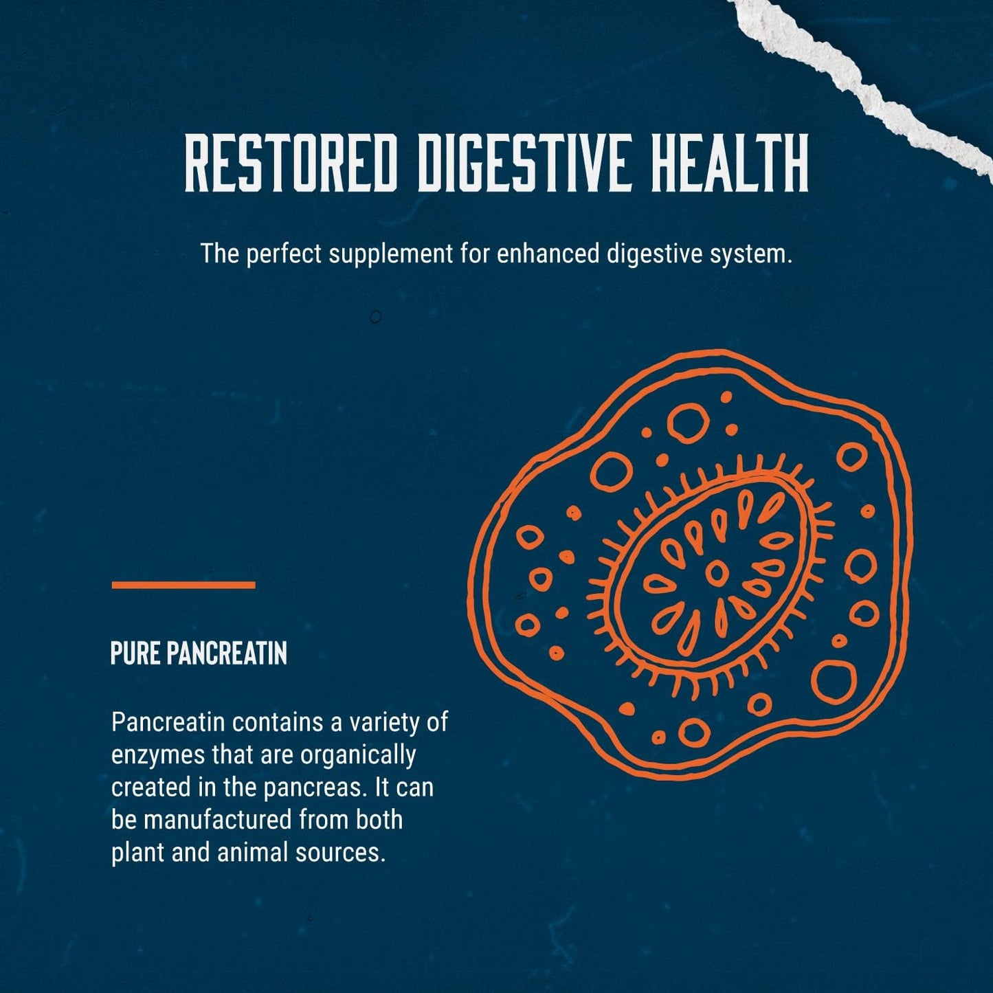 california-products-pancreatin-digestive-enzyme-supplements-for-gut-health---digestion-relief-and-gut-repair---pure-enzymes-supplement-for-men-and-women-5