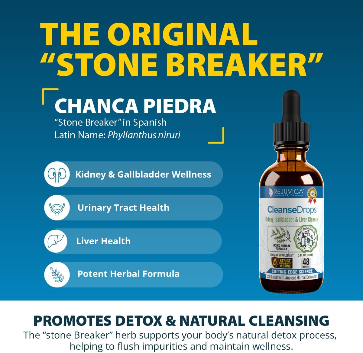 advanced-kidney-gallbladder-cleanse-drops-with-liquid-delivery---rejuvica-health-supplement-for-better-absorption---chanca-piedra-from-amazonian-rainforest-3