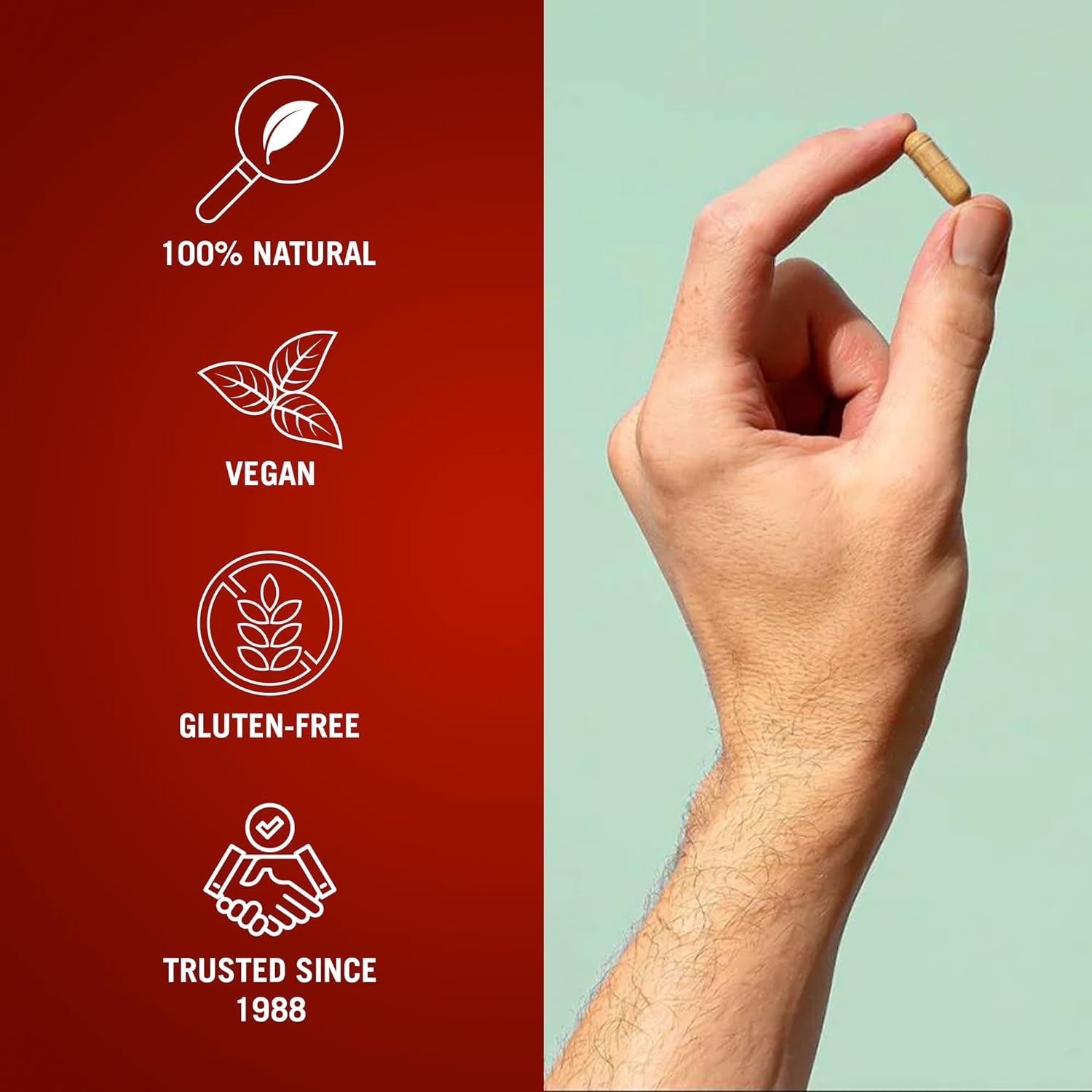 7-day-complete-internal-cleansing-formula-for-women---the-cleaner-detox-by-century-systems-supports-digestive-health-with-52-vegetarian-capsules-5