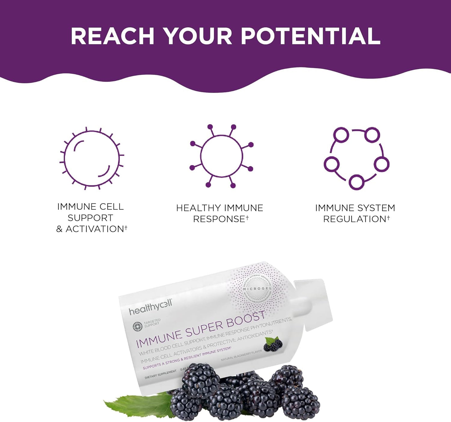 ac-11-anti-aging-immune-booster-bundle-with-high-absorption-microgel-delivery---liquid-supplement-for-age-defense-immunity-support-2