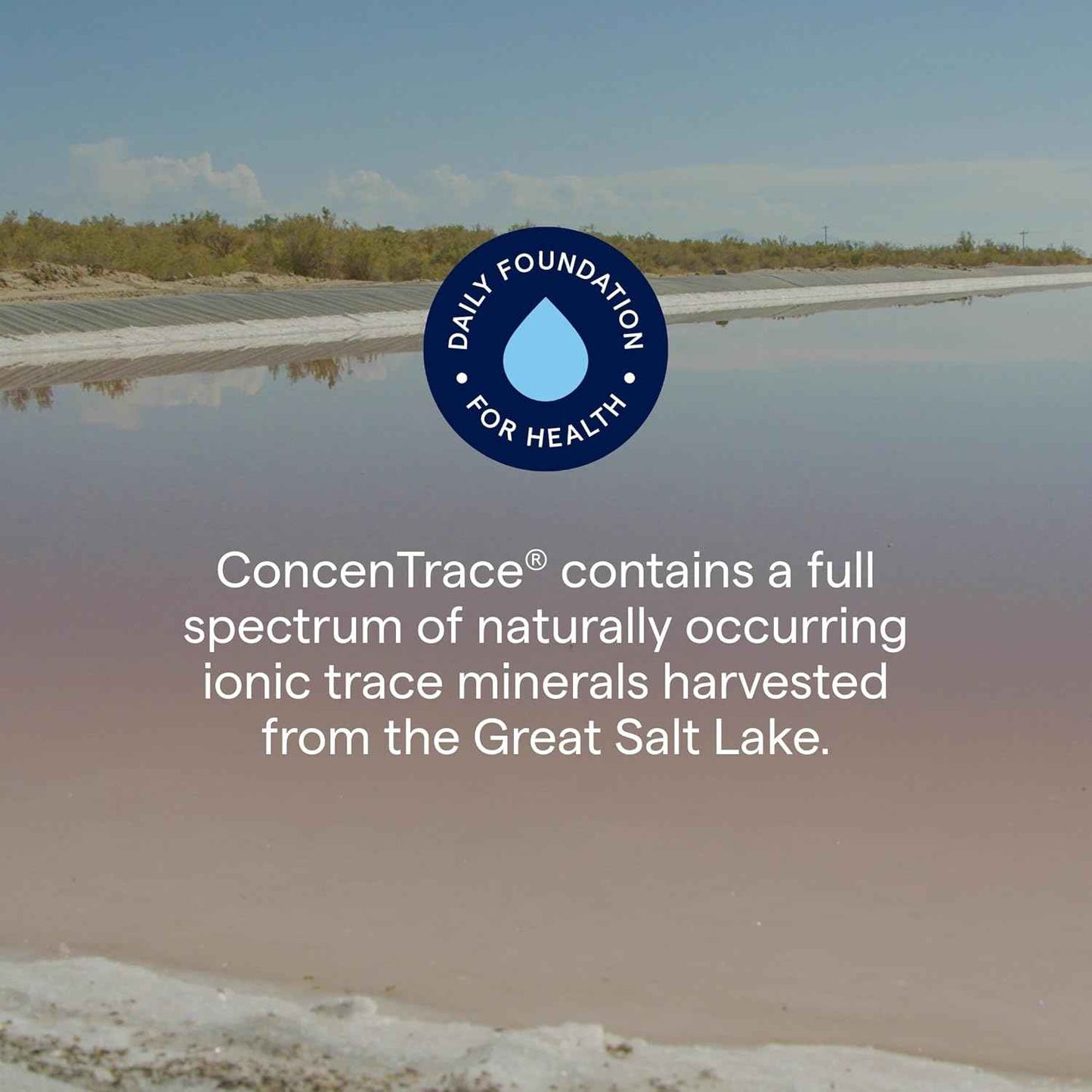 ConcenTrace Trace Mineral Drops - Liquid Supplement for Bone and Joint Support - Hydration and Electrolyte Restoration - Unflavored - 4 fl oz (48 Servings)