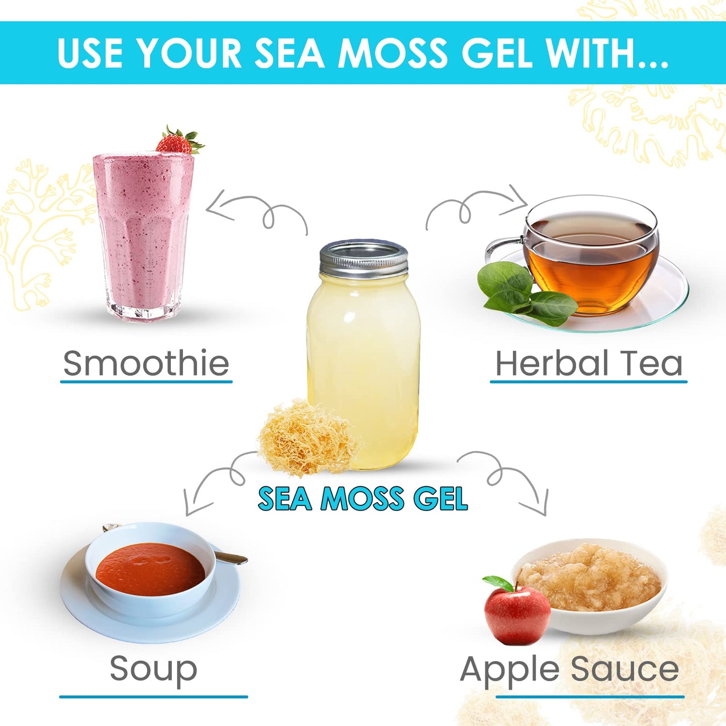 wildcrafted-golden-irish-sea-moss-gel-making-kit---dr-sebi-inspired-nutrient-rich-pure-natural-raw-sun-dried-sea-moss-for-health-wellness-8-oz-4
