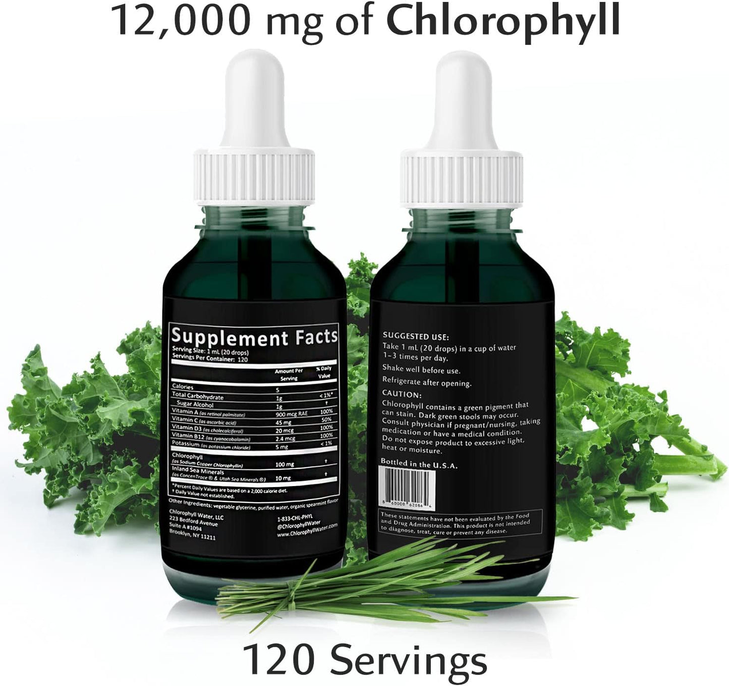12000mg-chlorophyll-liquid-drops-for-water-with-electrolytes-sea-minerals-vitamins-non-gmo-antioxidants-for-detox-energy-immune-support-2