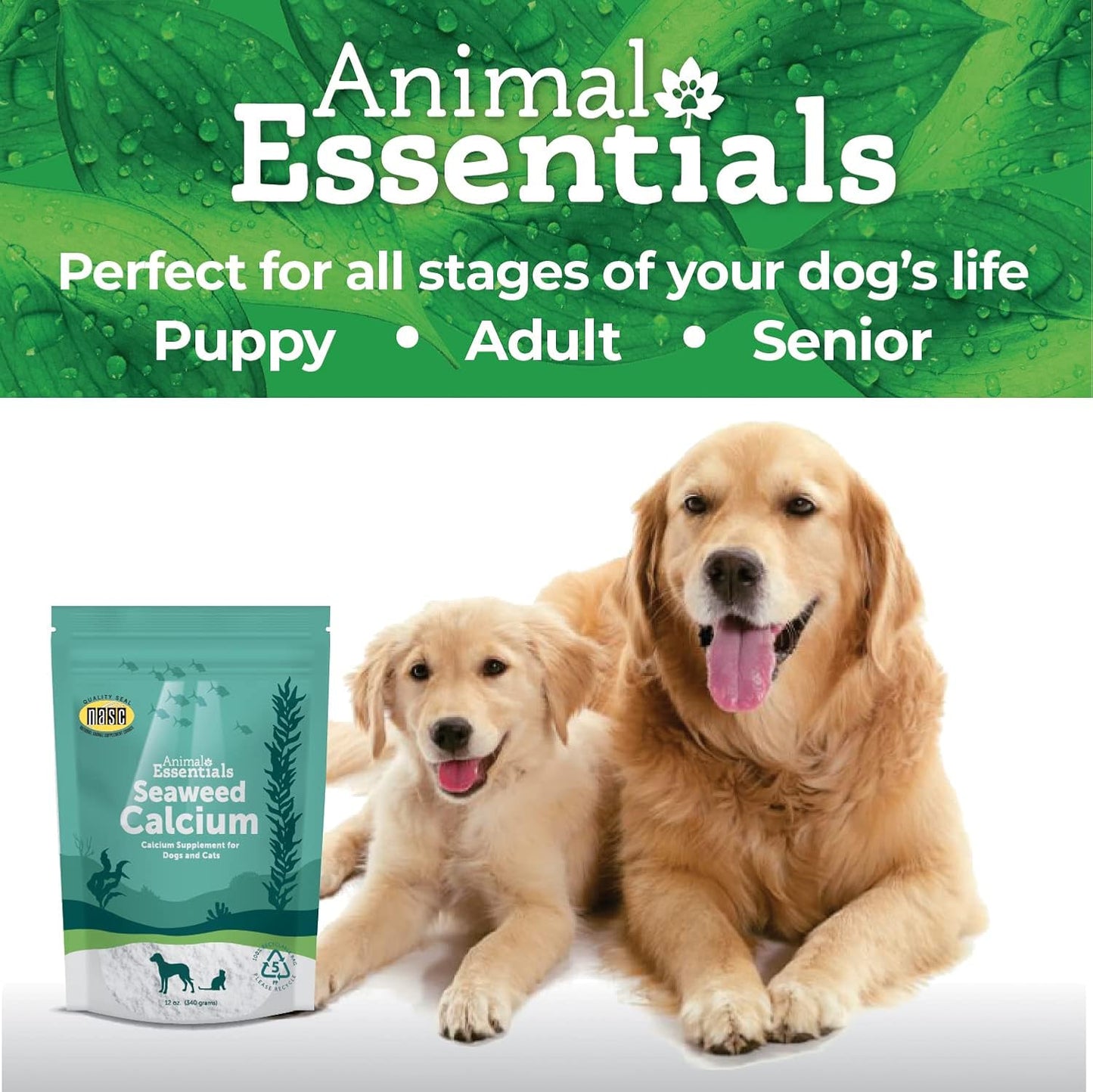 pure-icelandic-seaweed-calcium-supplement-for-dogs-and-cats---high-digestibility-lead-and-hormone-free-lab-tested-magnesium---12-oz-2-pack-8