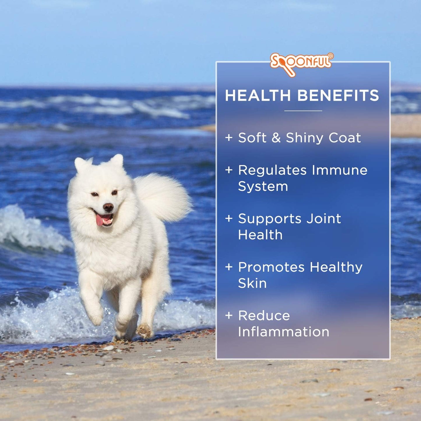 omega-3-fish-oil-softgels-for-dogs-and-cats-supports-healthy-skin-joints-heart-and-brain-usa-made-supplement-for-overall-wellness-6
