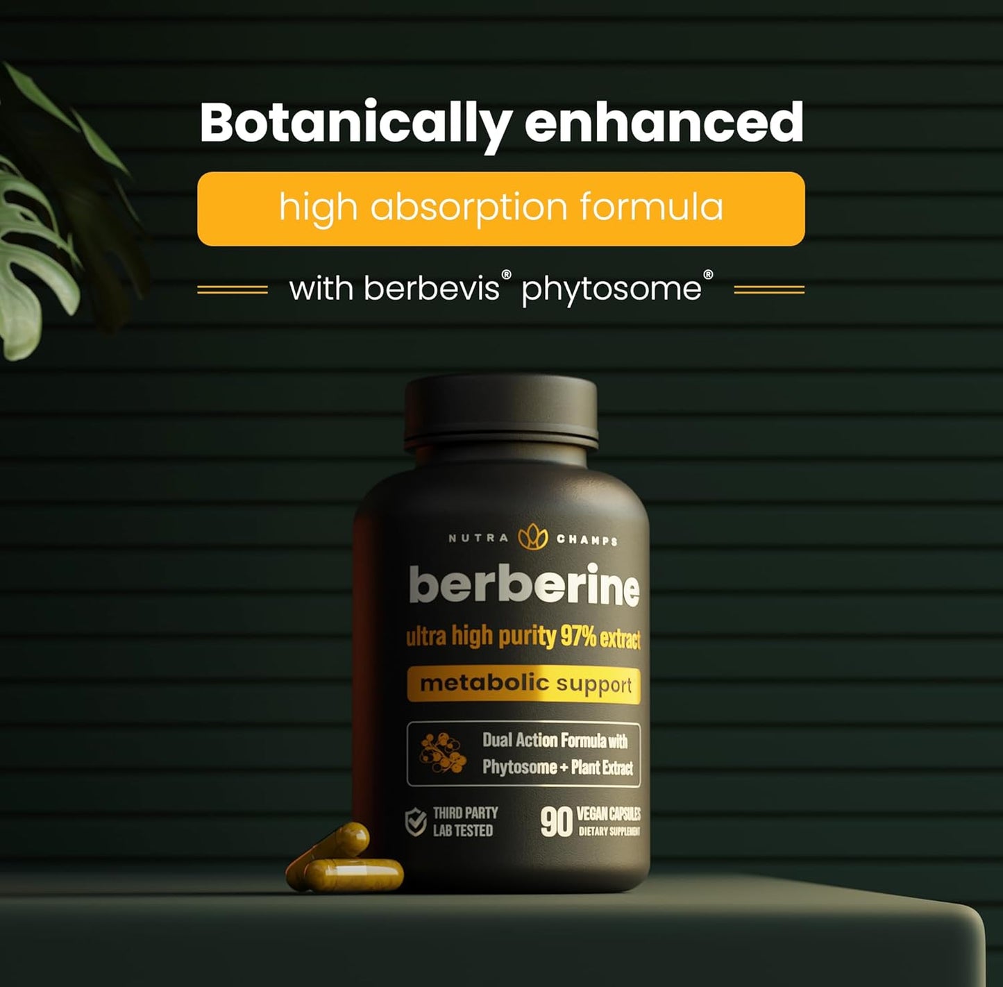 ultra-high-strength-berberine-1500mg-supplement-for-metabolism-heart-health---97-purity-extract-berberine-hcl-berbevis-phytosome-capsules---enhanced-absorption-formula-10