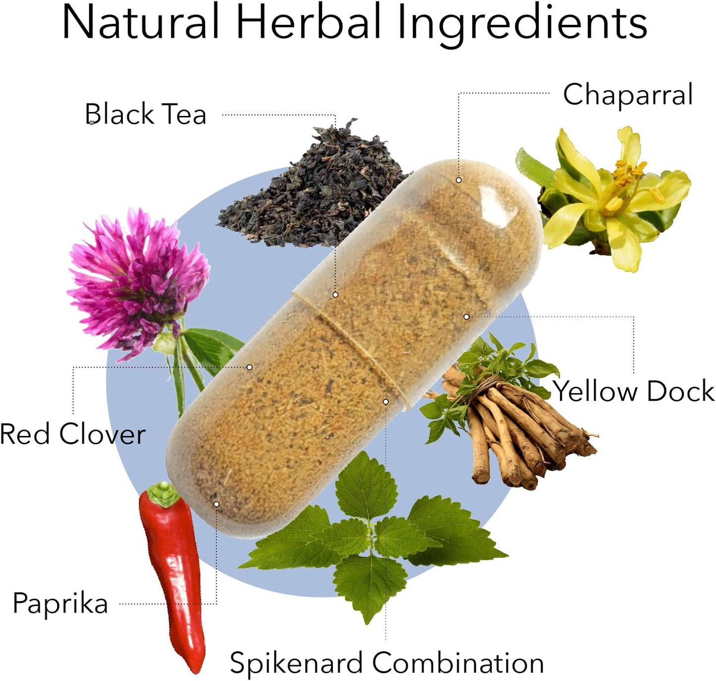 bundle-of-kroeger-herb-products-wormwood-and-chem-x---natural-remedies-for-digestive-health-and-detoxification-3
