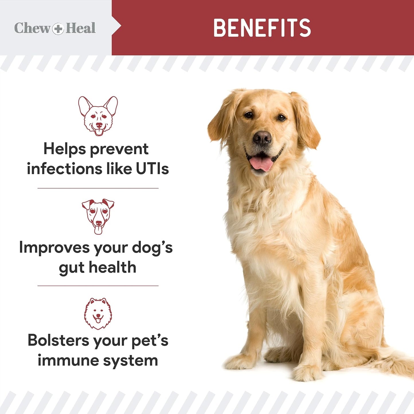 chew-heal-labs-cranberry-uti-treatment-soft-chews-for-dogs---240-count---supports-urinary-tract-health---with-echinacea-vitamin-c-4