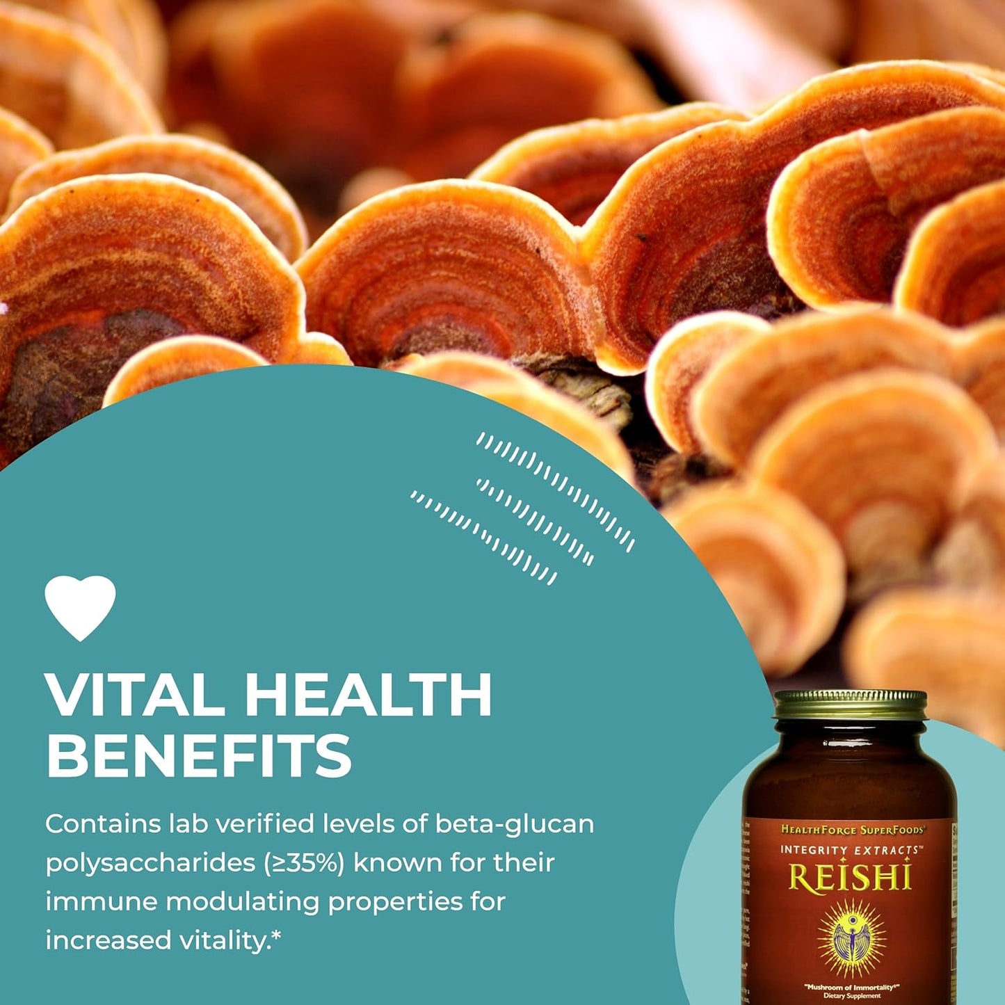HealthForce SuperFoods Integrity Extracts Reishi Powder 140g - Organic Mushroom Extract for Immune Support and Wellness - Espot.com.au