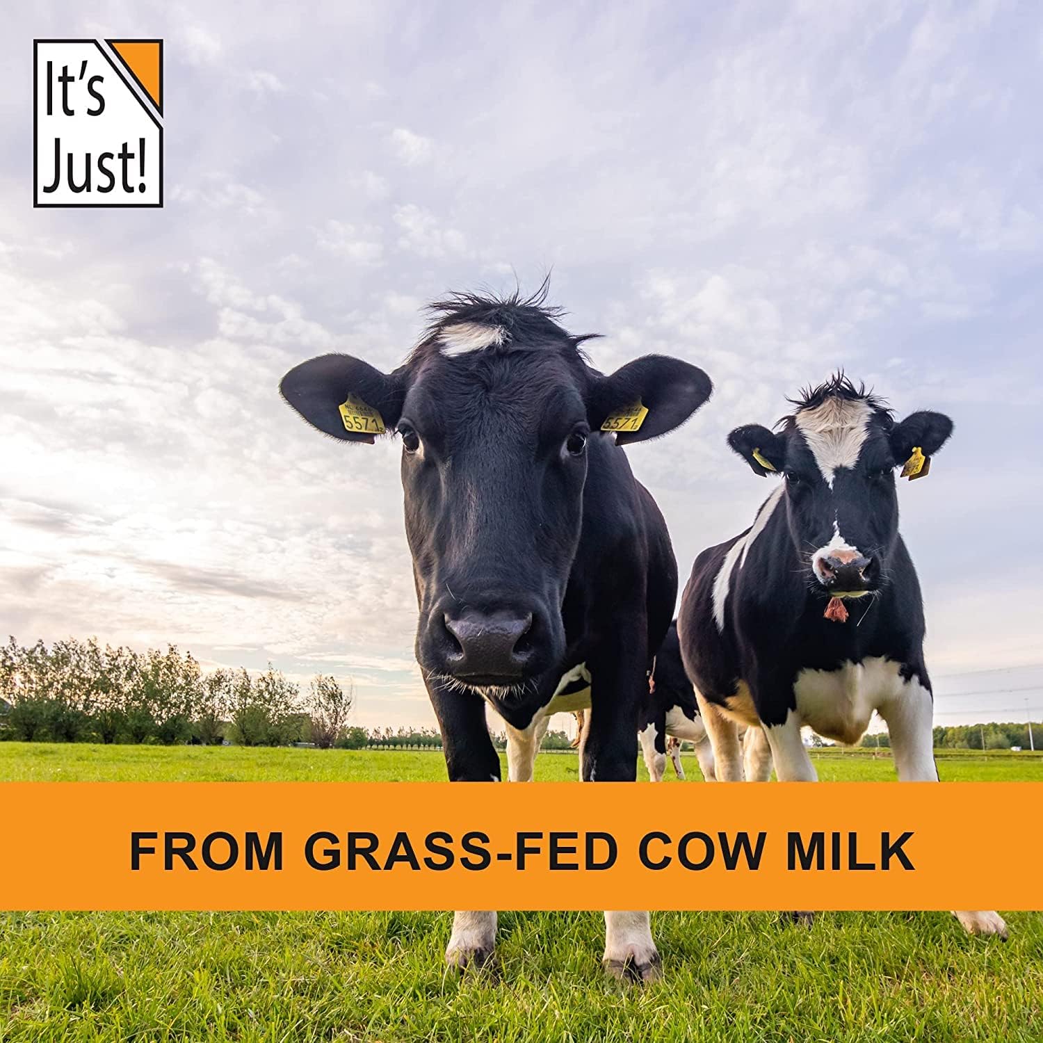 premium-grass-fed-whey-protein-isolate---unflavored-made-in-usa-rbghrbst-hormone-free-90-protein-low-carb-no-sugar---3lb-4