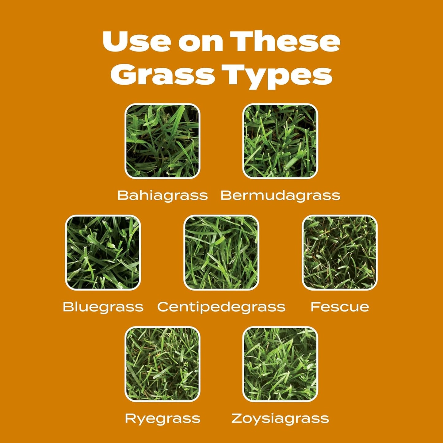 scotts-turf-builder-winterguard-fall-weed-feed3---weed-killer-plus-fall-fertilizer-for-lawns-up-to-5000-sq-ft---1429-lbs-6