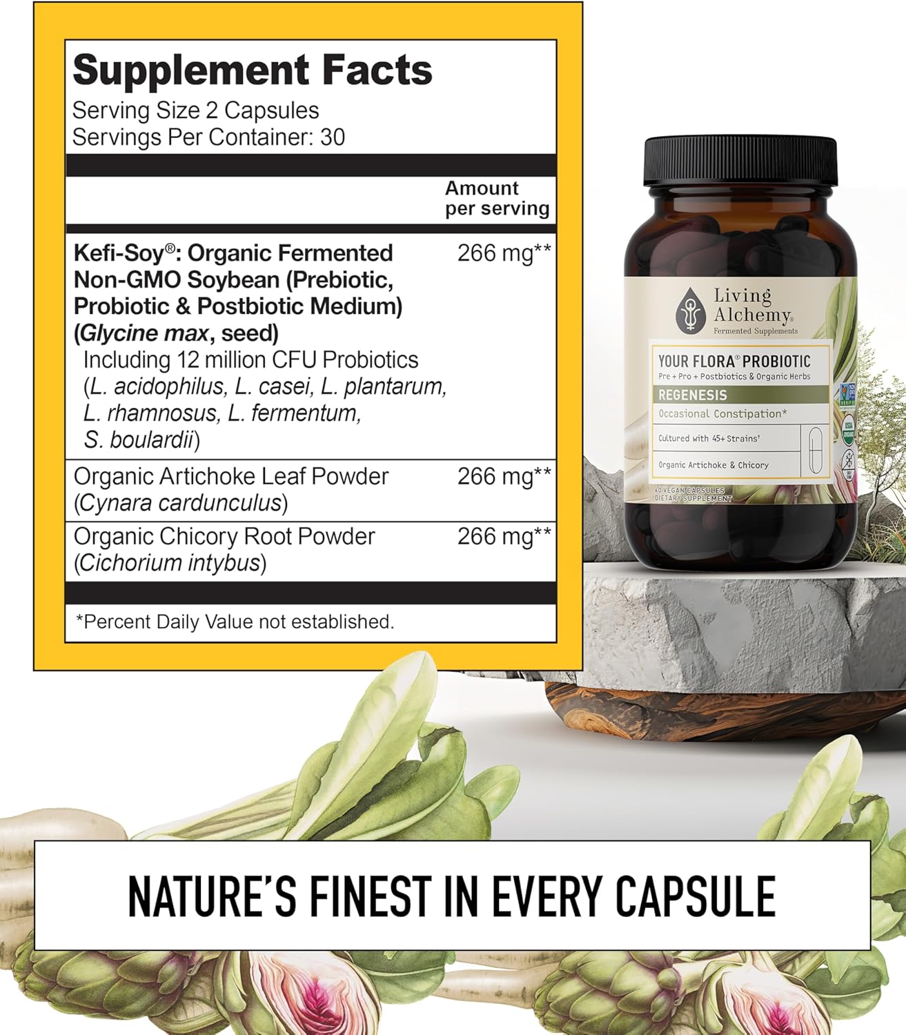 non-gmo-probiotic-regenesis-with-fermented-soybean-artichoke-chicory-for-gut-wellness---60-pcs---prebiotics-postbiotics-digestive-enzymes-2