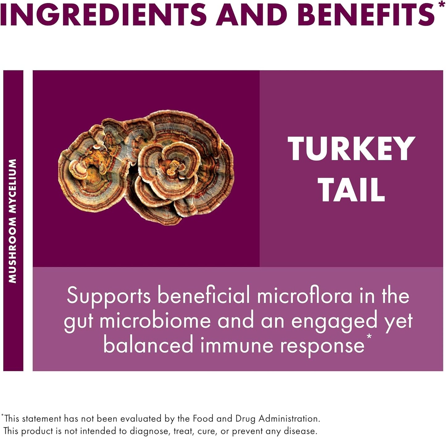 turkey-tail-mushroom-capsules-for-digestive-health-immune-support---120-capsules---gut-microbiome-supplement---host-defense-mushroom-supplement-4