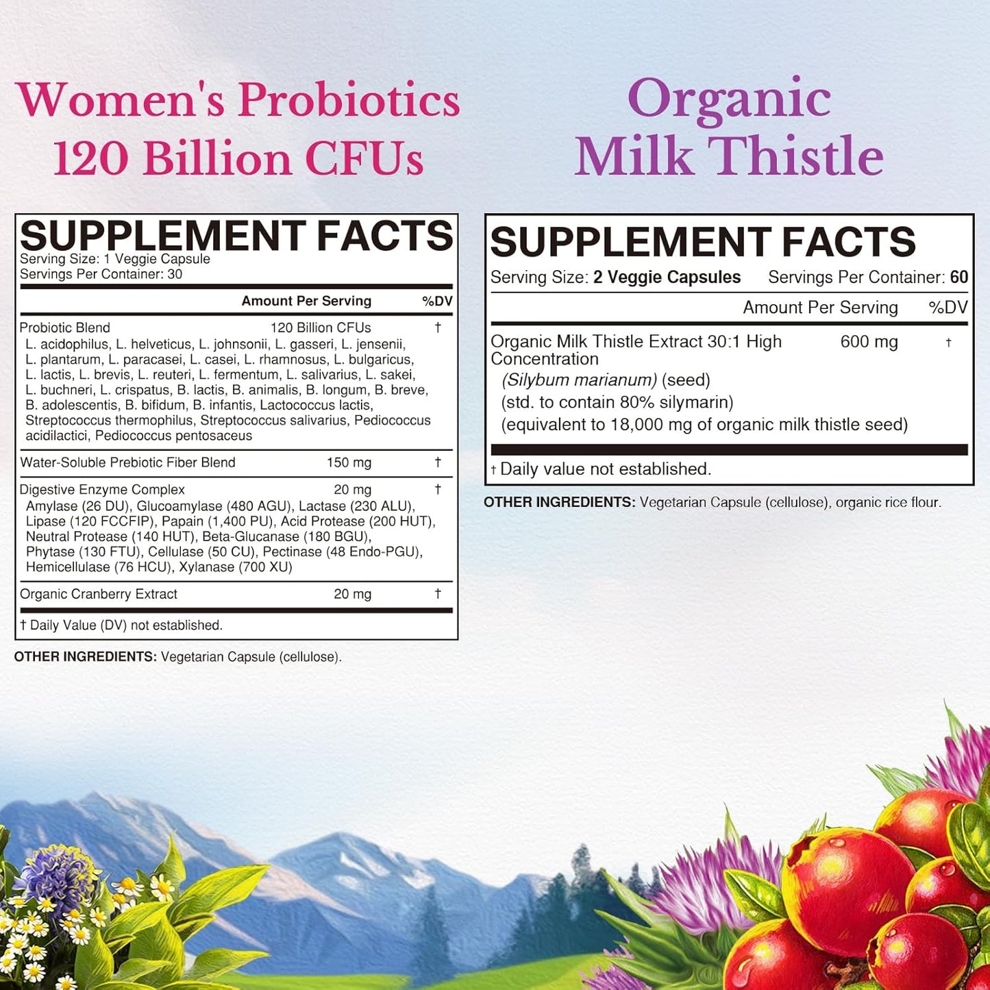 womens-probiotic-milk-thistle-bundle---120-billion-probiotics-organic-milk-thistle---digestive-womens-health-support---shelf-stable-detox---pack-of-2-2