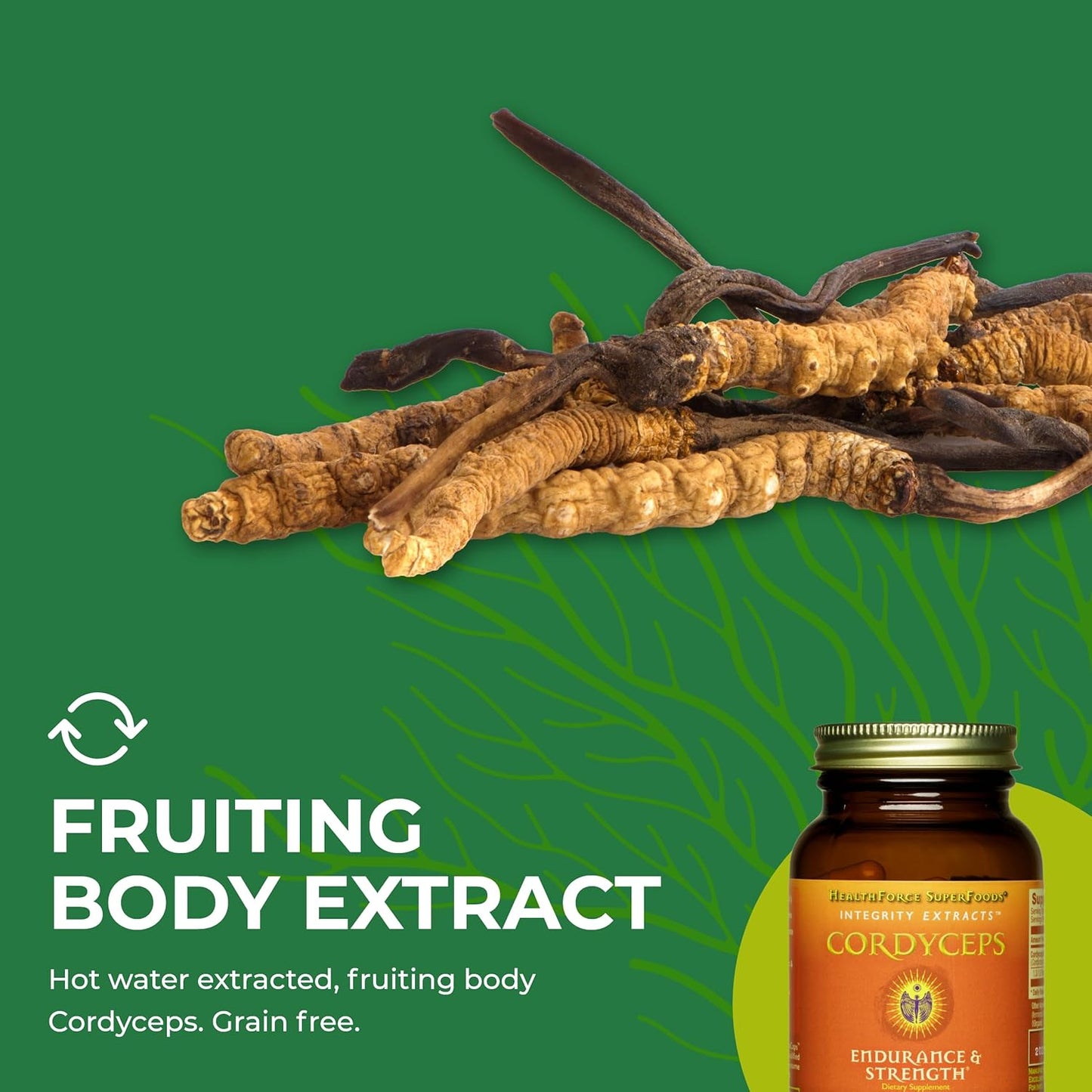Vegan Cordyceps Extract Capsules - 90 Capsules by HealthForce SuperFoods - Espot.com.au