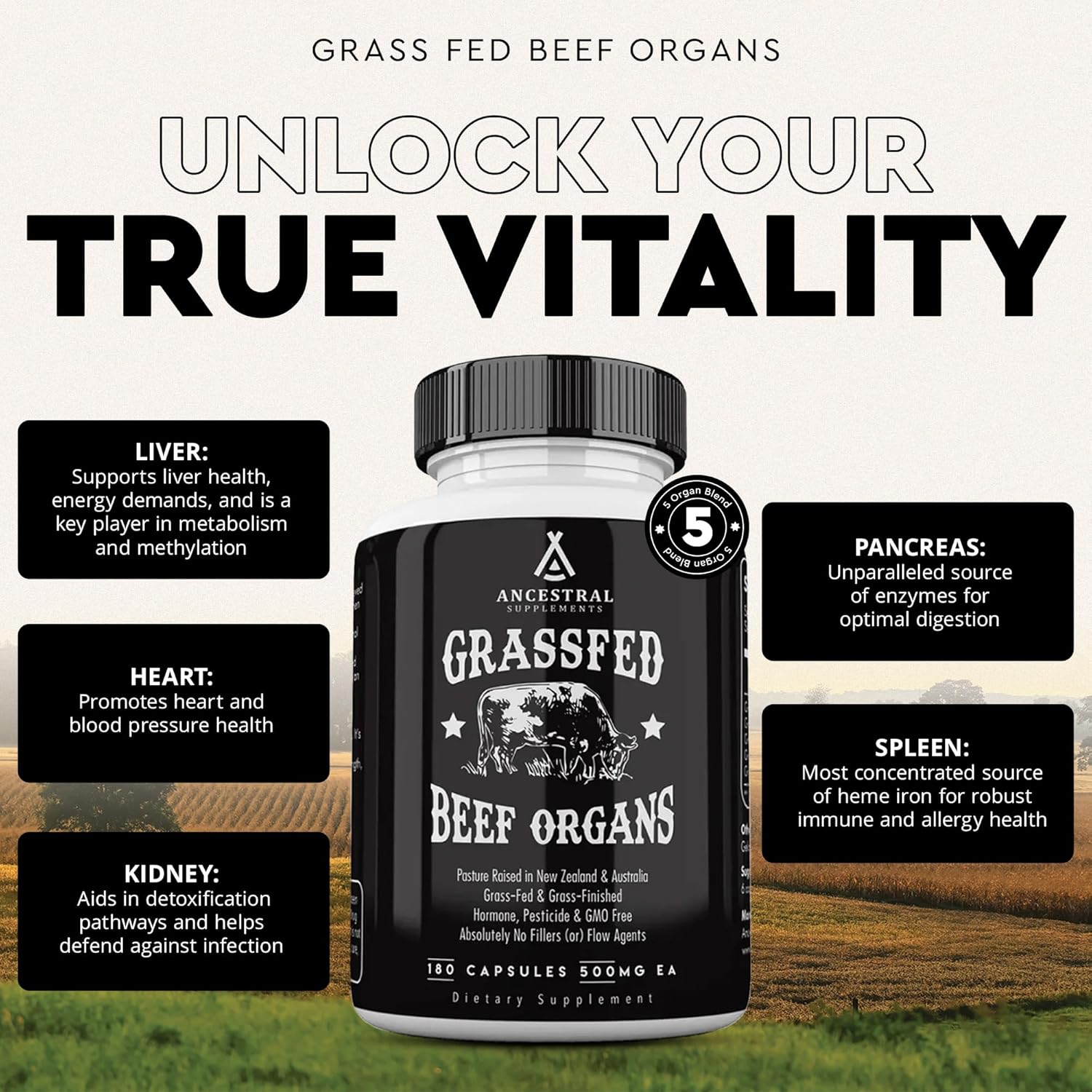 grass-fed-beef-organ-supplement-for-whole-body-wellness---liver-heart-kidney-pancreas-spleen---non-gmo-180-capsules-2